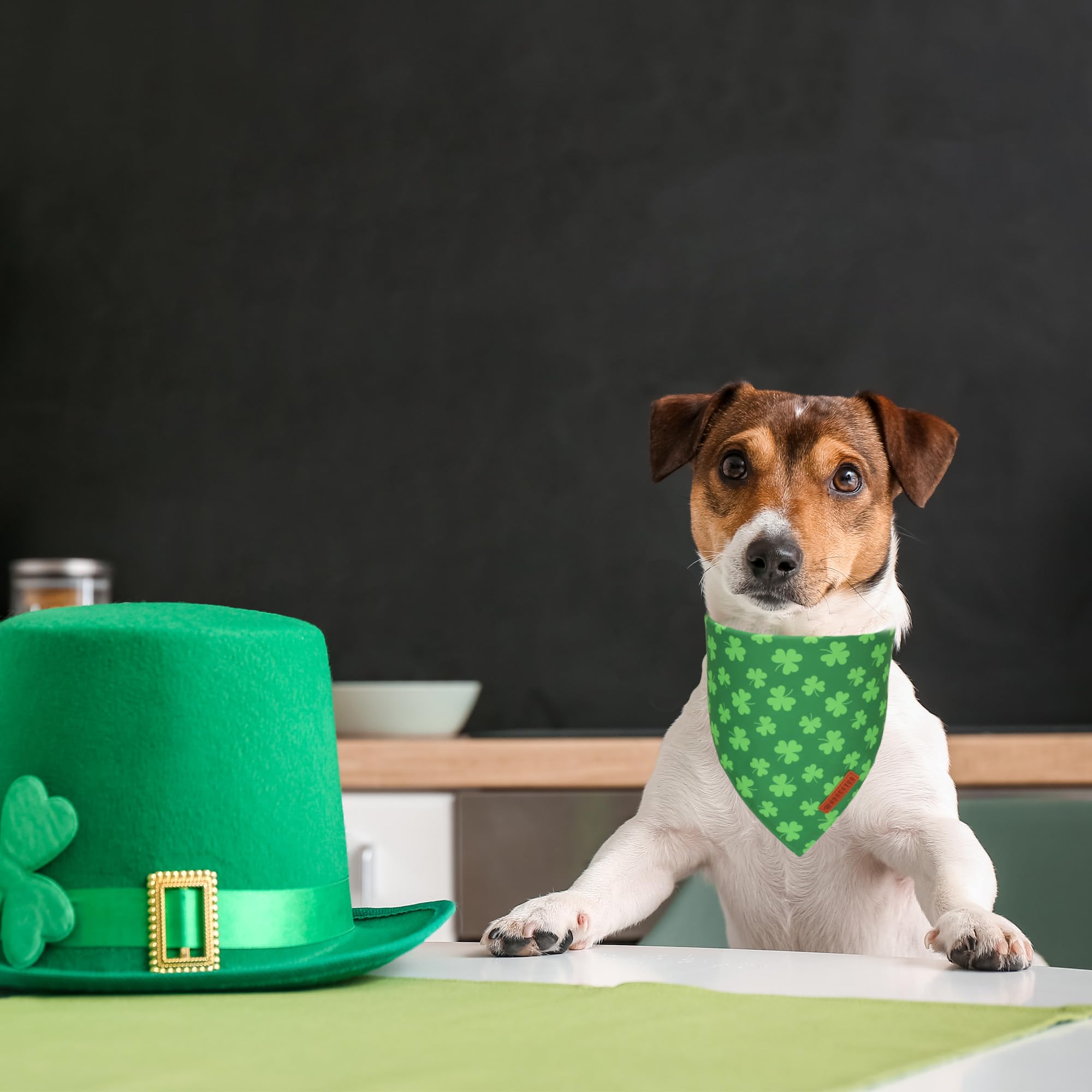 ADOGGYGO St. Patrick 's Day Dog Bandana, Green Shamrock Pet Scarf, Adjustable Fit Saint Patrick Bandanas for Medium Large Dogs (