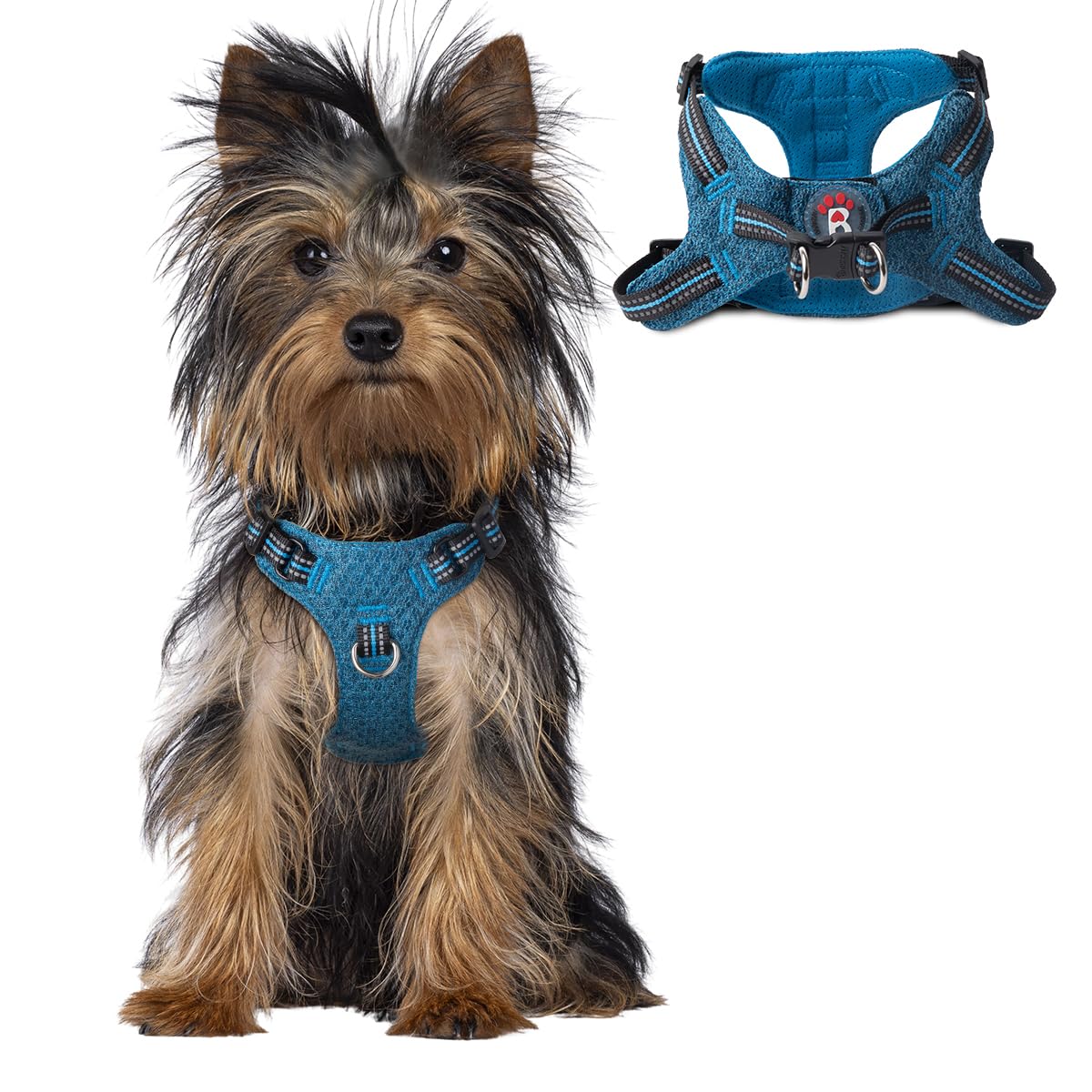 Barkbay Dog Harness, Reflective Adjustable Step-In Vest Harness, Blue/Black, Xxs