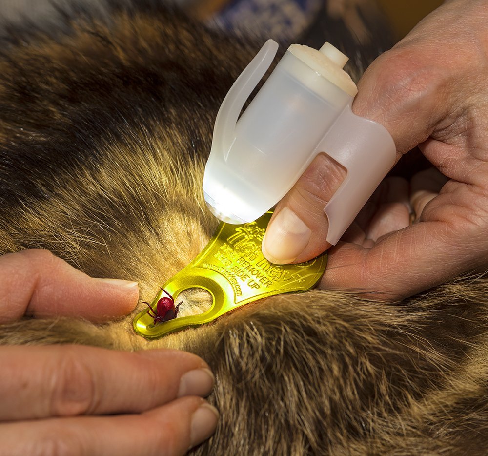 Tipsee Light Ticksee Tick Removal Kit, Tick Remover for Humans and Pets, Original Tick Key Removal Tool with Glo-N-Dark LED Ligh