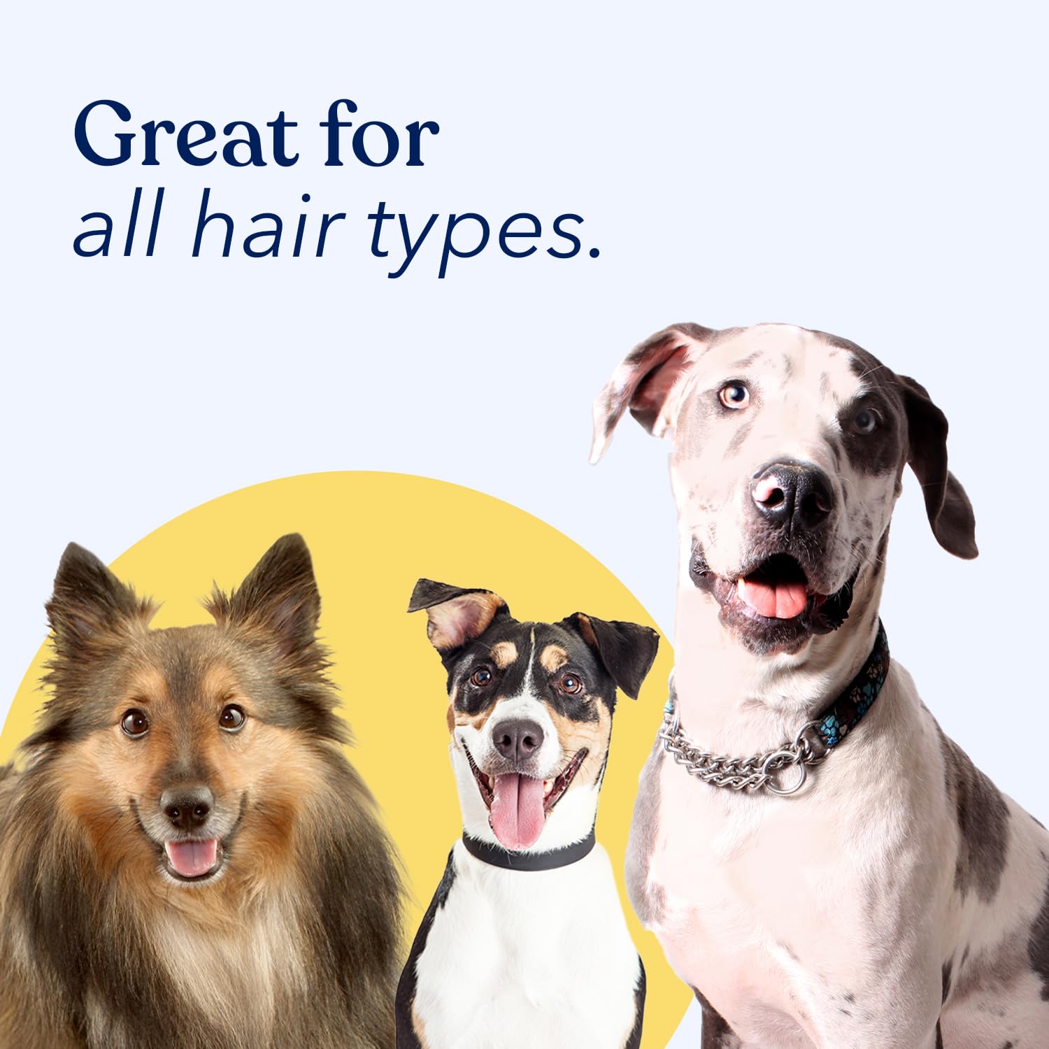 Honest Paws Dog Dry Shampoo - Waterless No Rinse Spray Formula Reducing Itch Cleanse Hydrate Nourish Dry Skin And Smelly Coat He