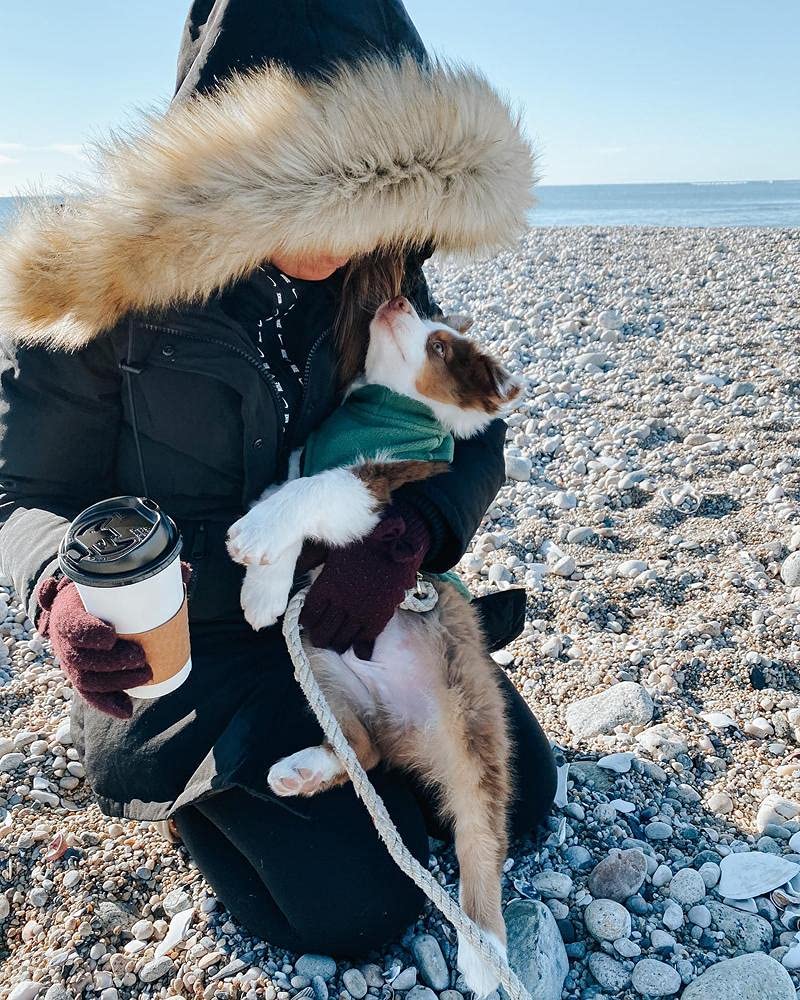 Gooby Every Day Fleece Cold Weather Dog Vest For Small Dogs, Green, Large