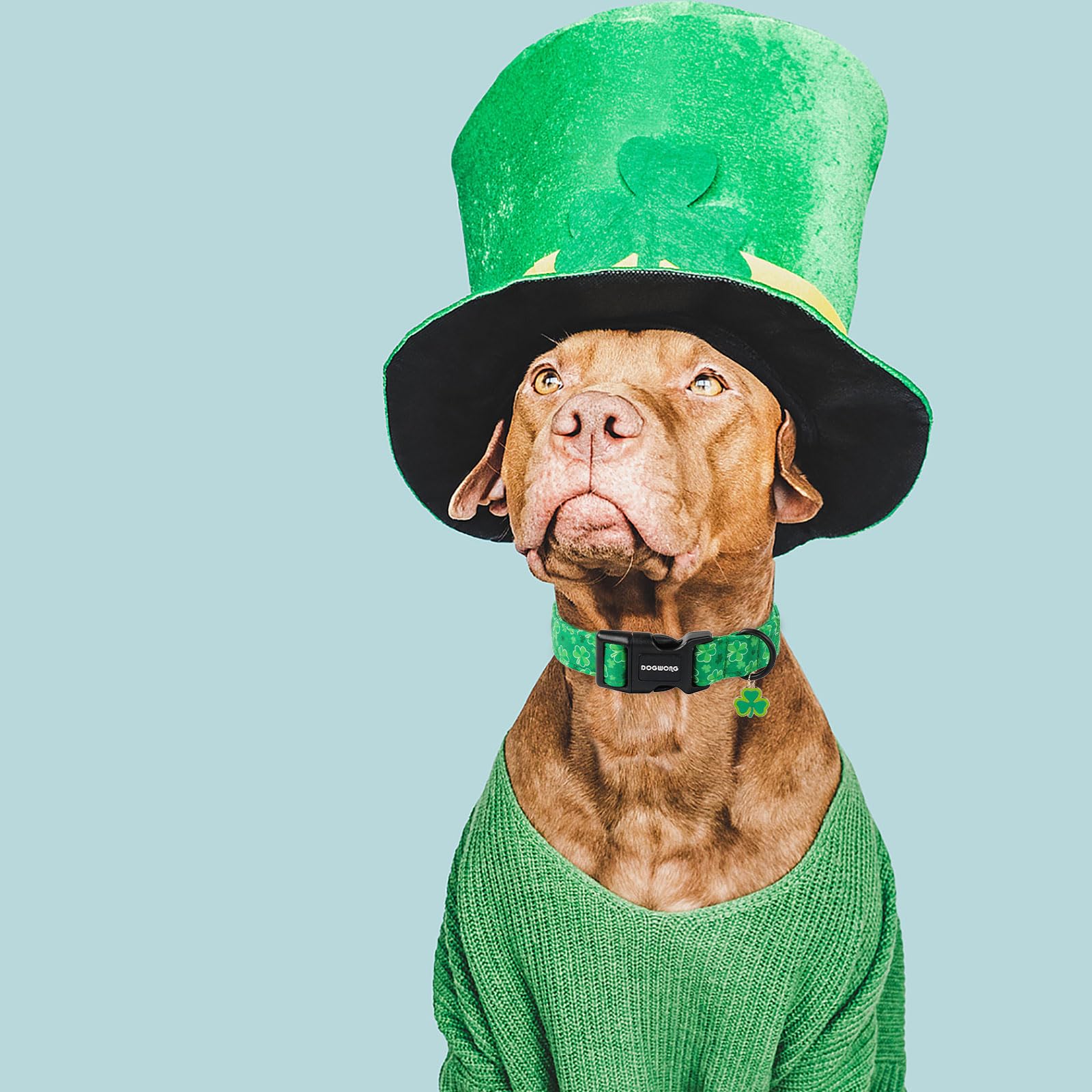 Dogwong St. Patrick'S Day Dog Collar, Cute Green Clover Dog Collars, Adjustable St. Patrick'S Day Pet Collars Design Dog Collar