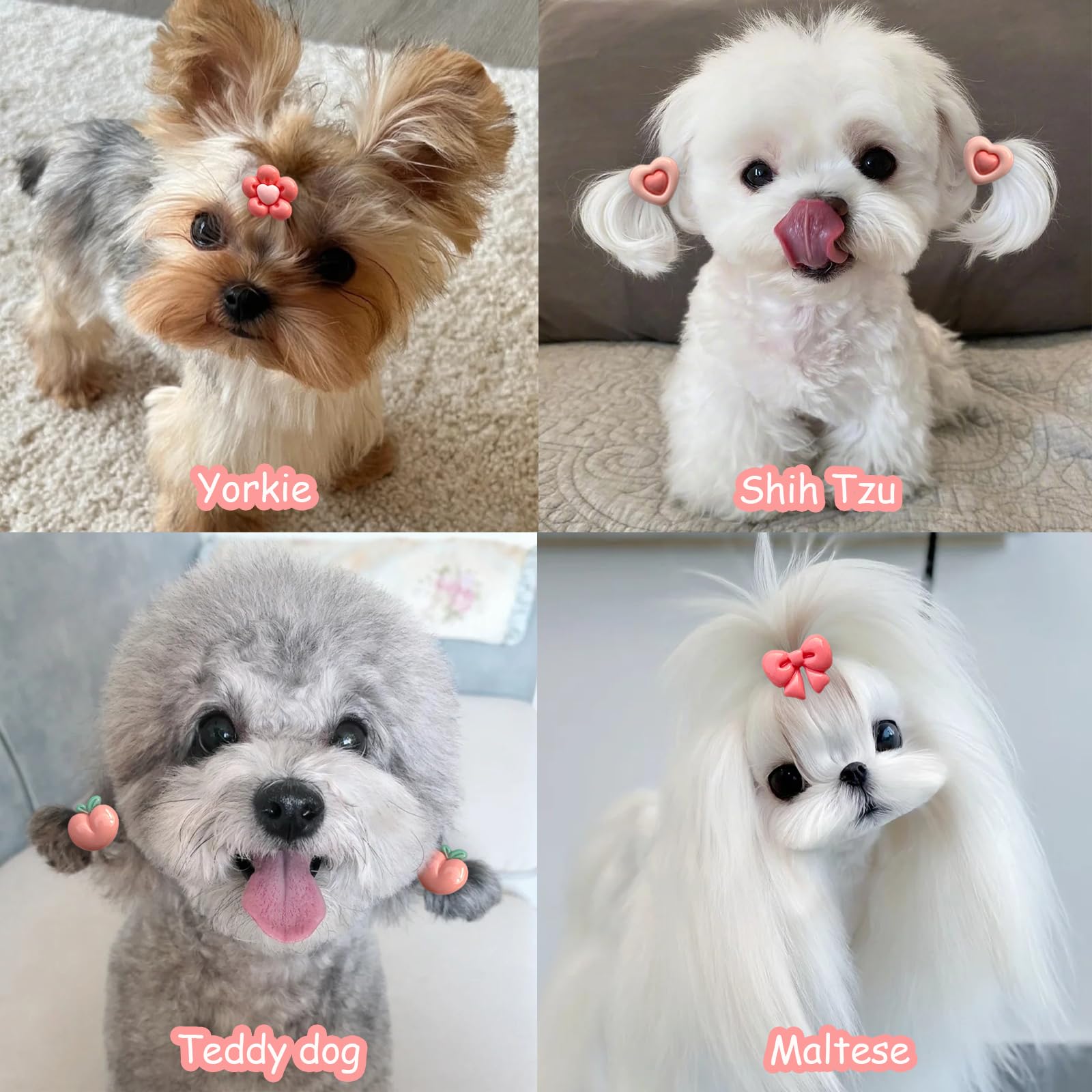 20 Pcs Small Dog Hair Bows With Rubber Bands Cute Puppy Bows Grooming Bowknot Topknot Flower Dog Hair Accessories For Small Dogs