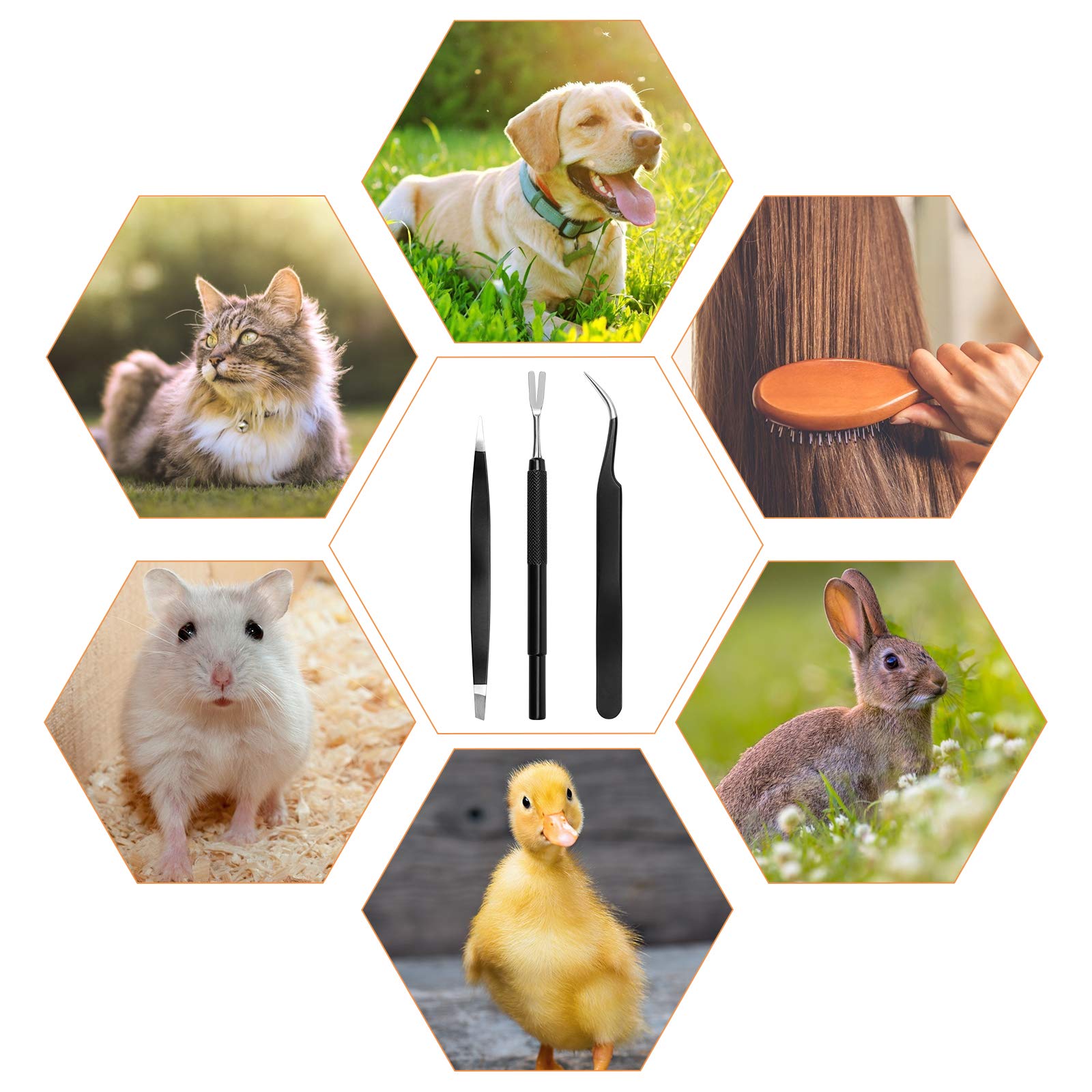 Coitek 3 In 1 Tick Remover Kit, Black Tick Remover Tweezers Stainless Steel Tick Remover Tools Set For Pet Dog, Cat, Human With Storage Box (Black)