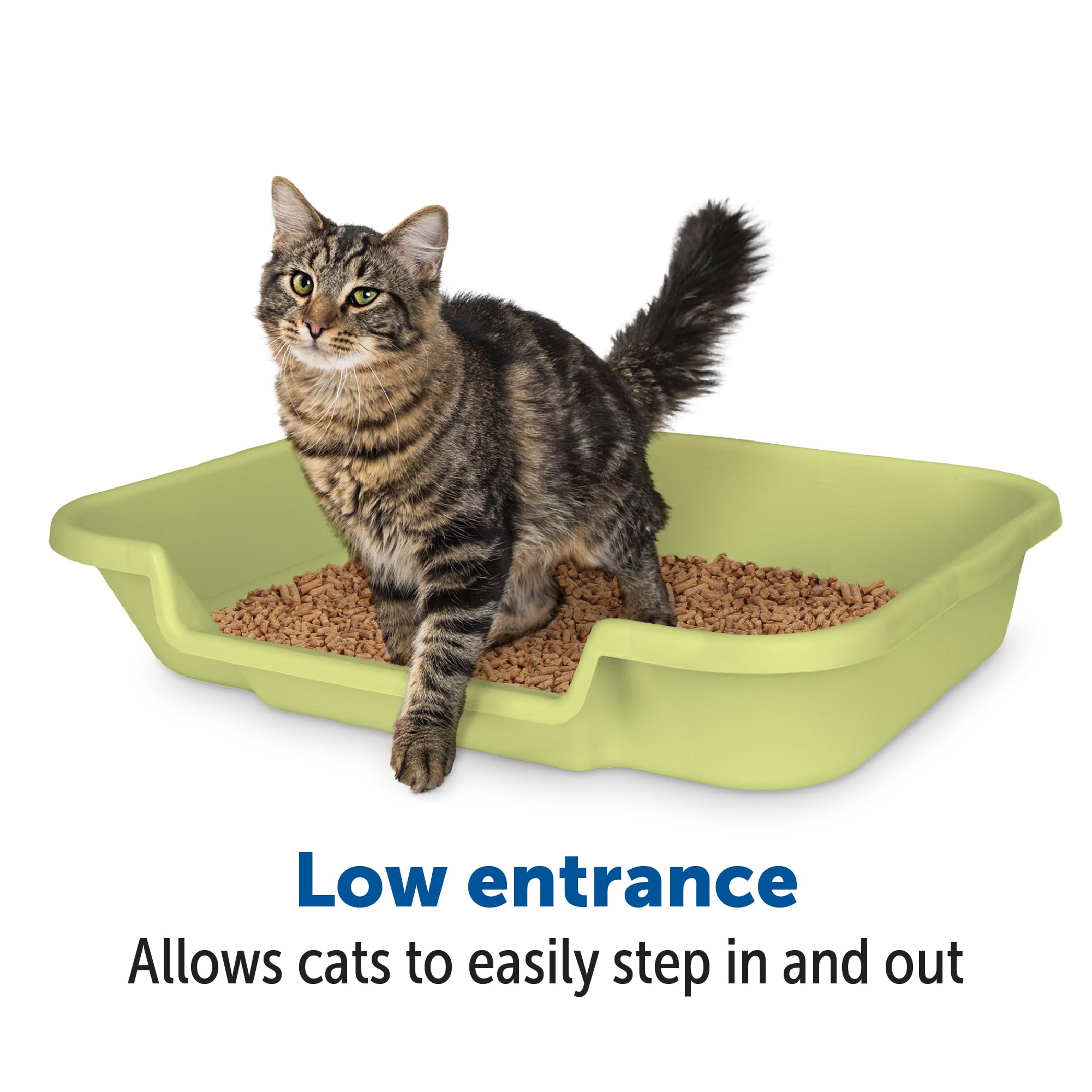 NE14pets KittyGoHere Large Green Low Entrance Cat Litter Box - Ideal for Senior & Arthritic Cats, Made in USA