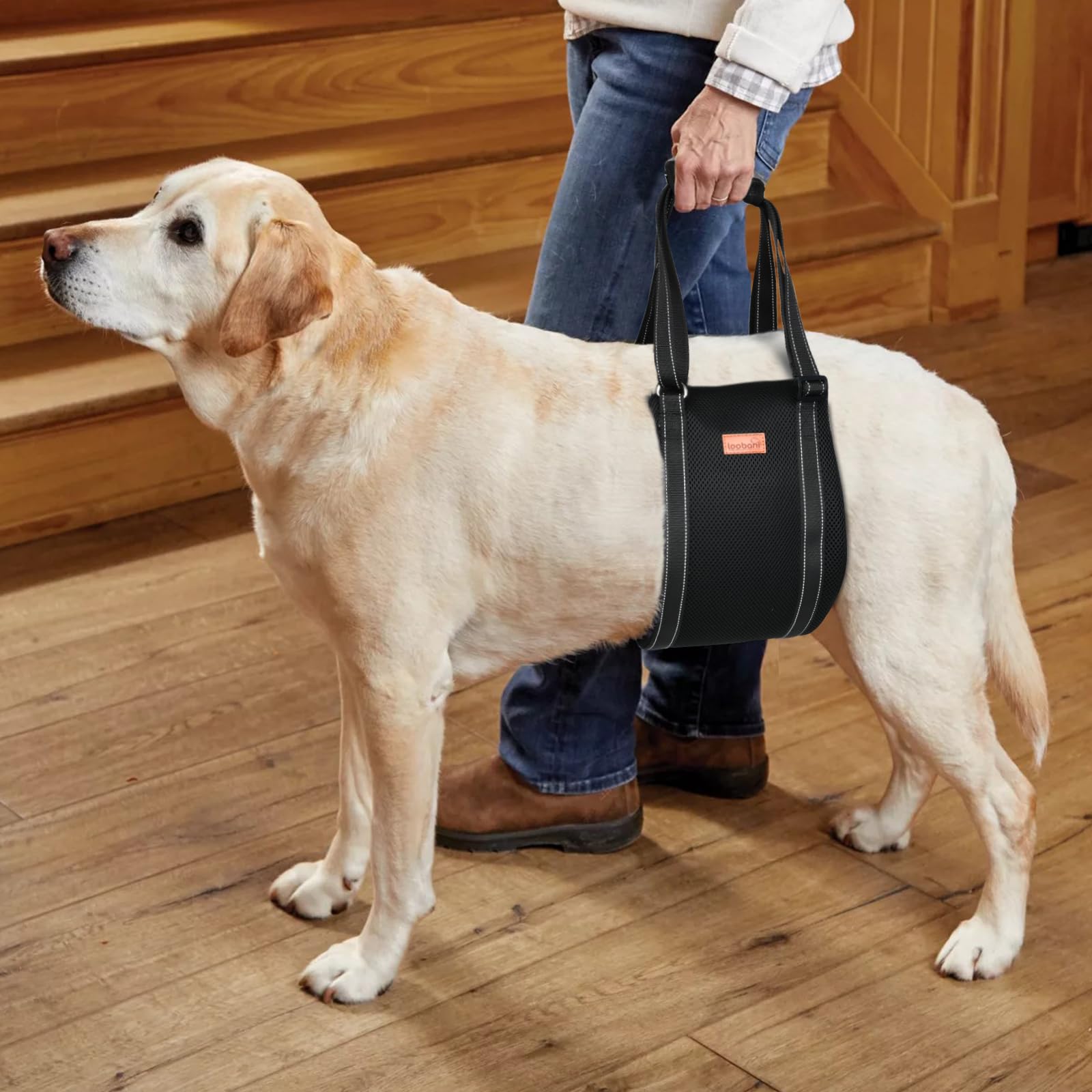 Loobani Dog Lift Harness | Portable Dog Sling For Large Dogs Hind Leg Support - Help Lift Back Legs For Up And Down Stairs, Cani