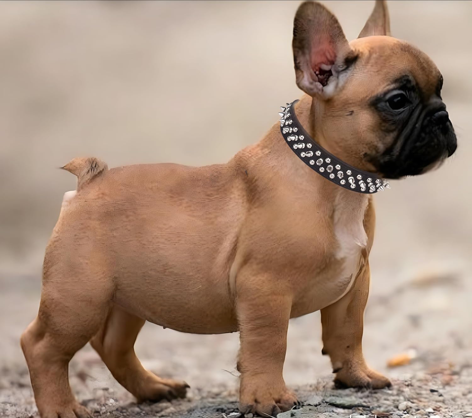 Serijoars Spiked Dog Collar Soft Pu Leather Mushrooms Rivet Spike Studded Dog Collar Adjustable Puppy Collars (M, Brown)