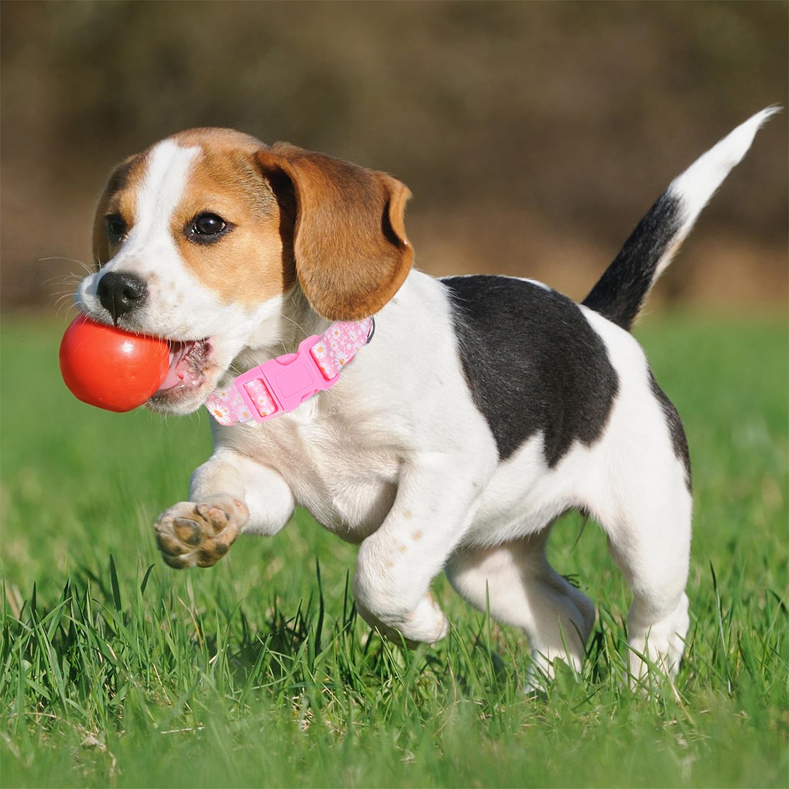 Girl Dog Collars For Medium Dogs,Female Dog Collars With Pink Daisy Flowers, Adjustable Comfy Soft Pet Collar With Safety Buckle