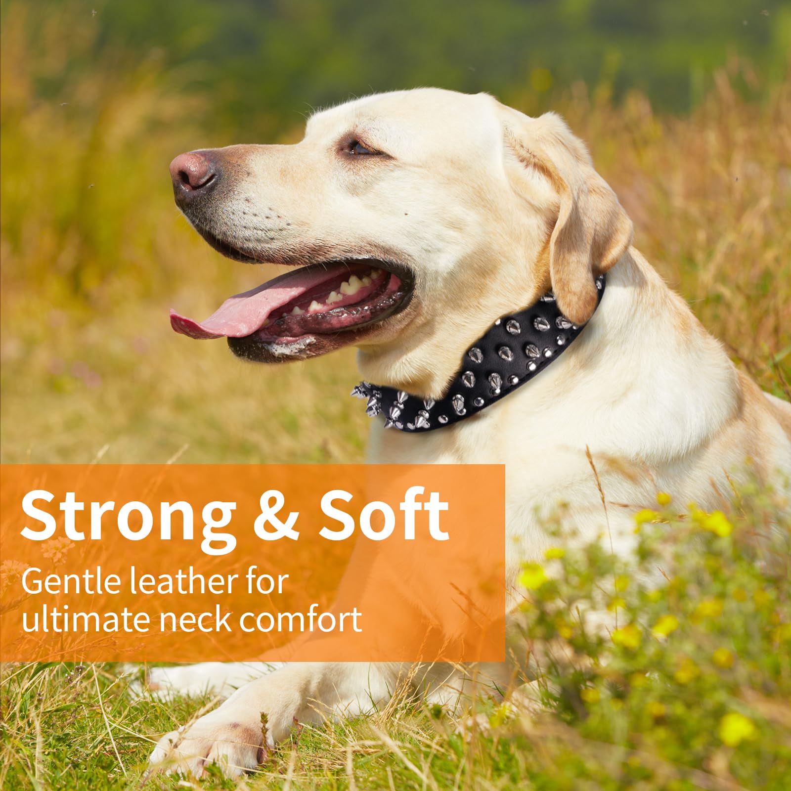 ???????????????? ?????????????? Spiked Studded Leather Dog Collar With Leash, Epesiri Rivet Pu Leather Dog Collars For Pit Bull,