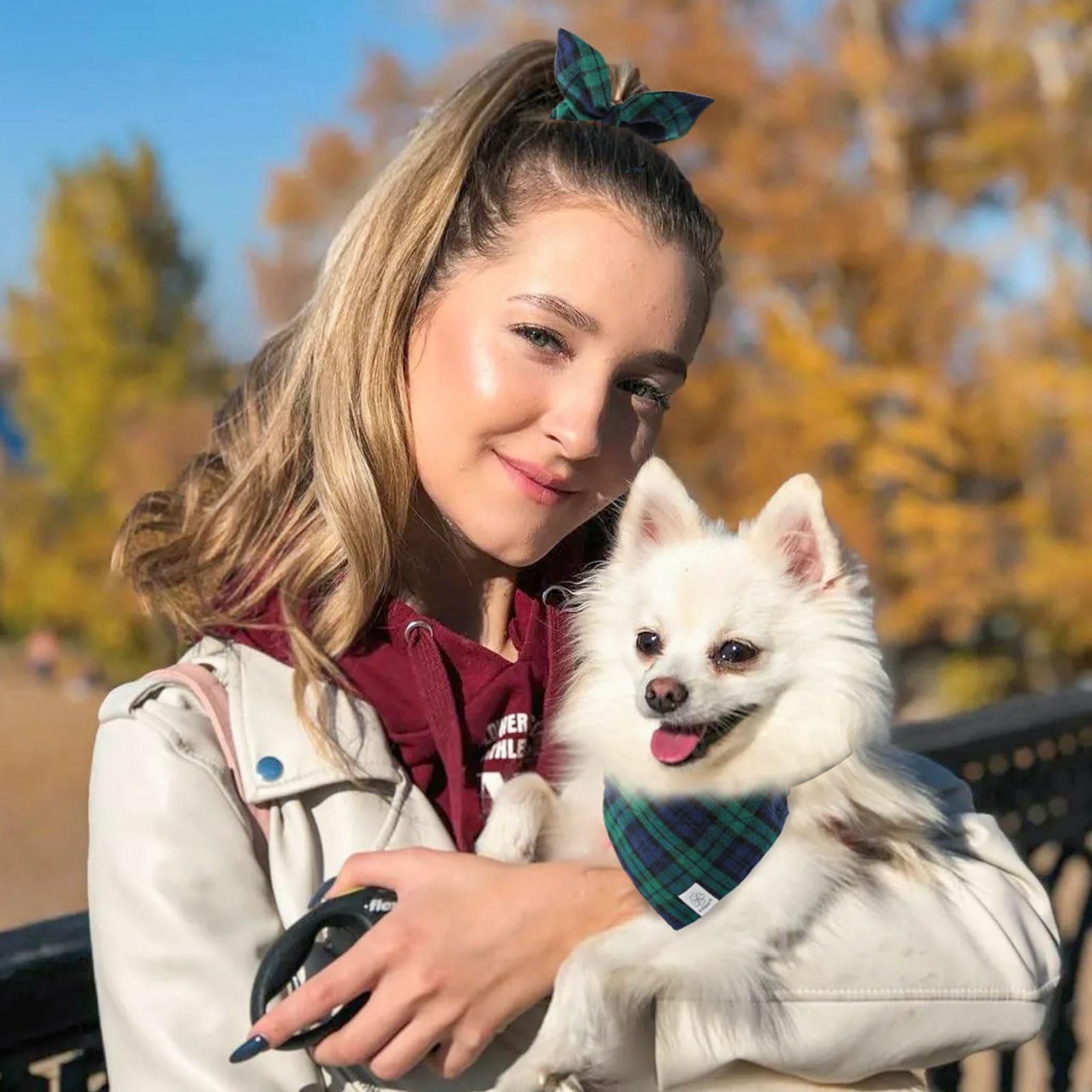 E-Clover Plaid Dog Collar & Matching Scrunchie - Adjustable Medium Dog Collar & Bandana For Small Medium Dogs - Green Blue