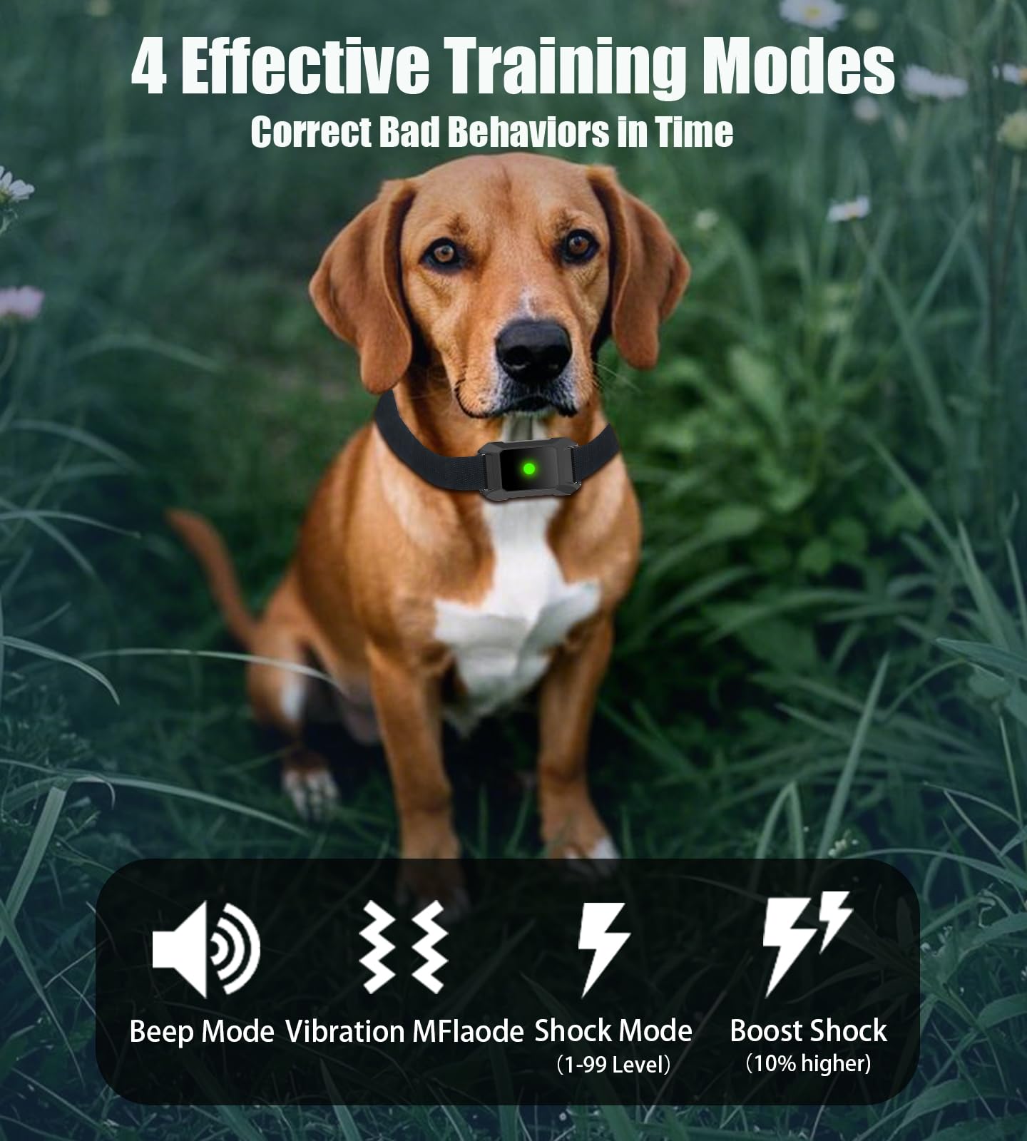 Dog Training Collar 3600FT with Night Light, Dog Shock Collar with Remote Control, E Collar with Adjustable Pitch Beep,Vibration