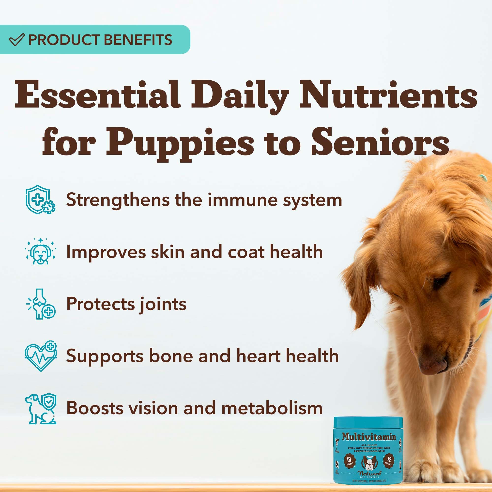 Natural Dog Company 25-in-1 Multivitamin Chews for Dogs - Daily Soft Dog Vitamins with Antioxidants, Zinc & Folic Acid - Support