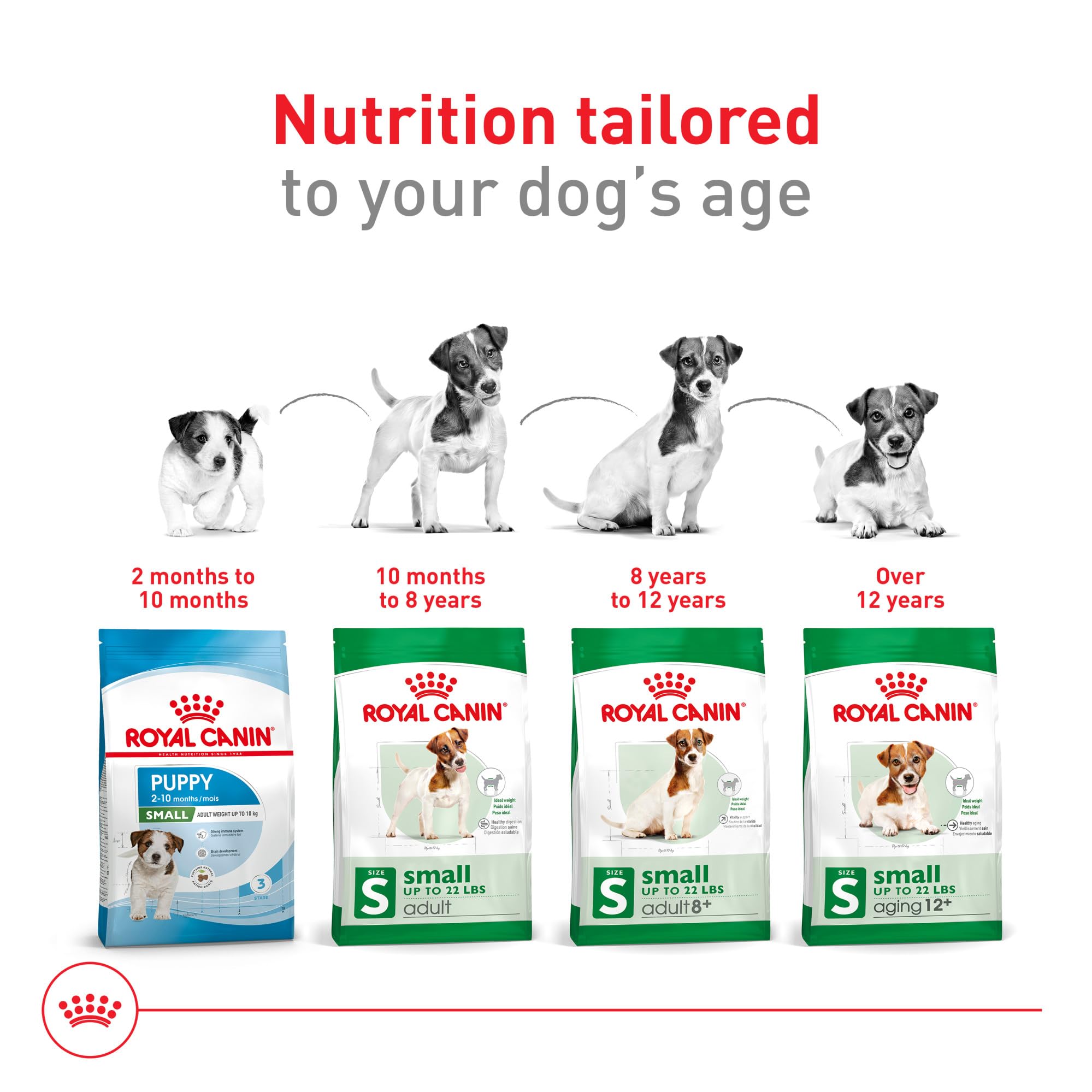 Royal Canin Size Health Nutrition Small Adult 8+ Dry Dog Food, 13 lb bag