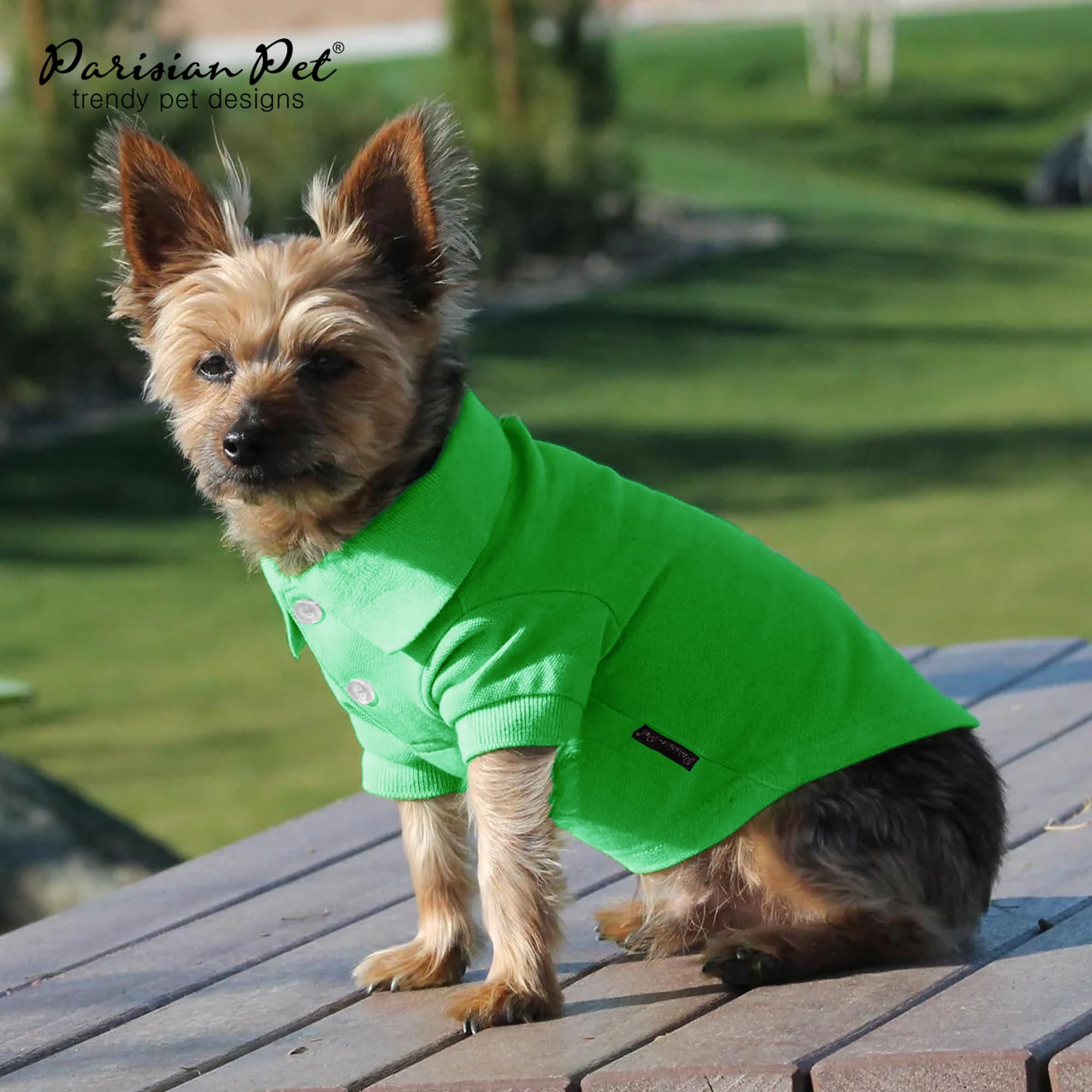 Parisian Pet Dog Polo Shirts - Breathable Dog Cotton Shirt - Solid Green Color, Summer Pullover Dog Clothes - Button Up Collar,