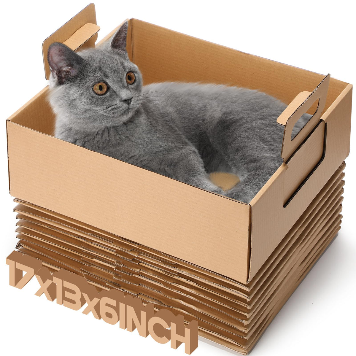 Teenyyou 10 Pcs Disposable Litter Boxes For Cats, Travel Litter Box For Cats 17 X 13 X 6 Inches Portable Paper Toilet Tray Recyc