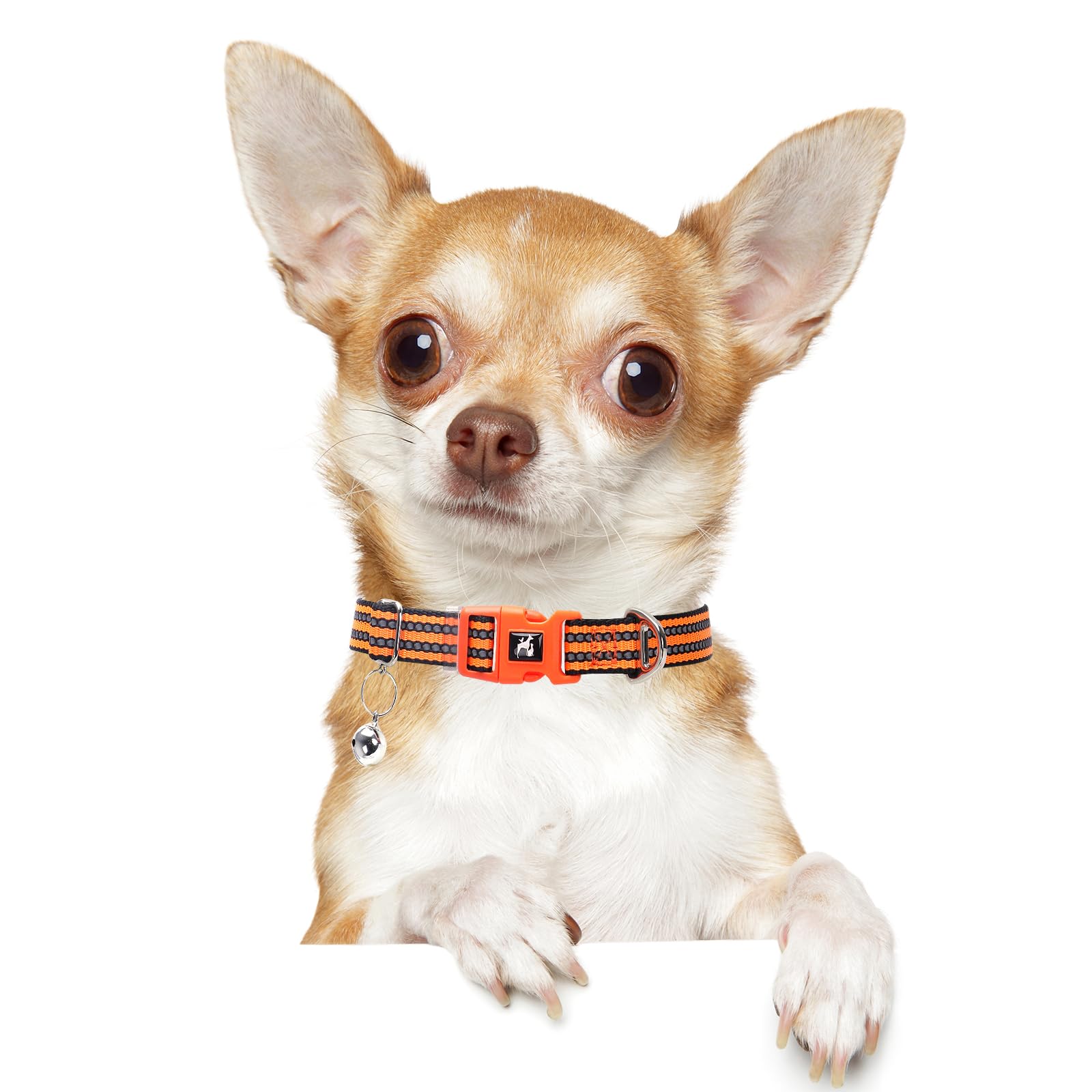 Onefojojo Adjustable Reflective Xs/Xxs Dog Collar With Bell - Nylon Puppy Collar For Chihuahua, Pomeranian, Small Dogs, Nighttim