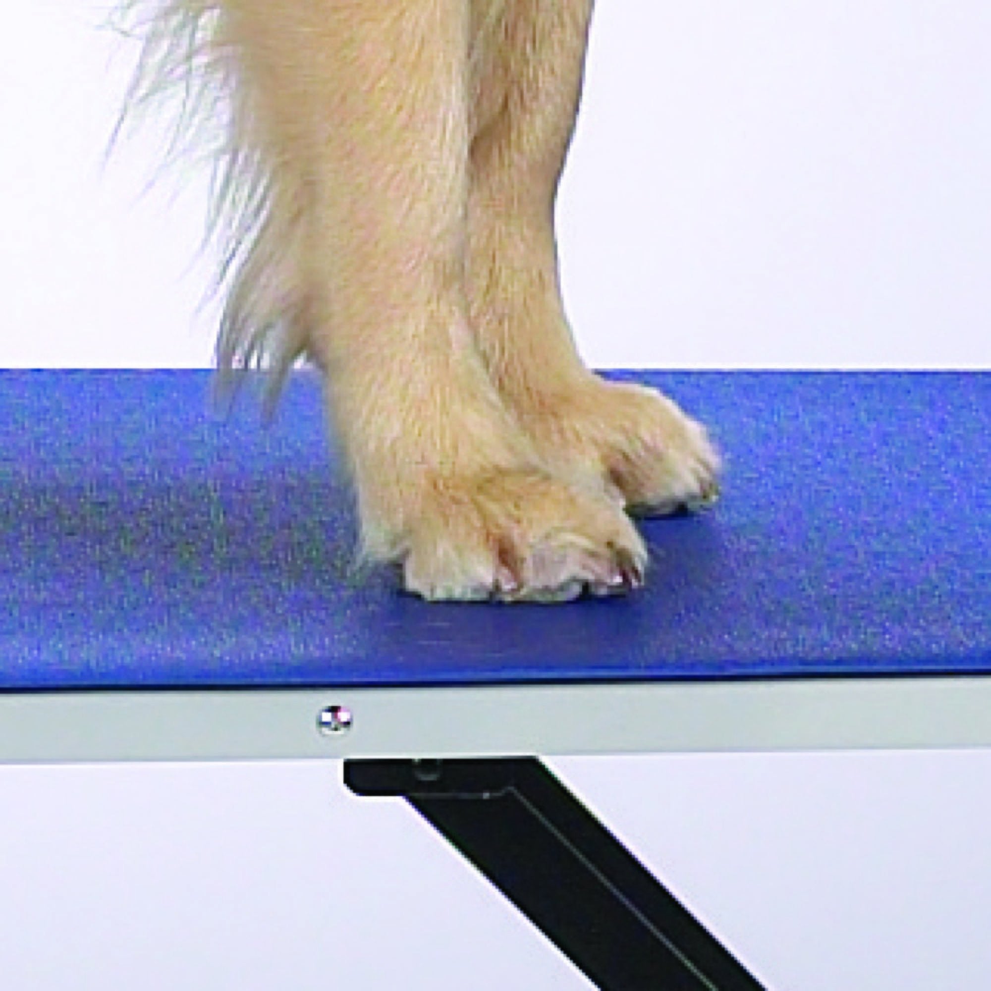 Top Performance Pvc And Foam Pet Groomers Table Mat