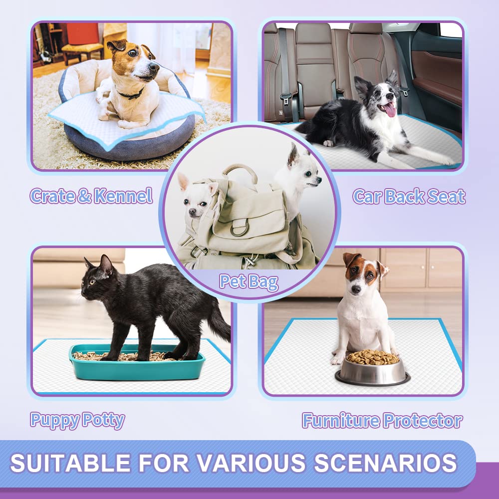 Immcute Puppy Pee Pads 22'X23'-150 Count | Dog Pee Training Pads Super Absorbent & Leak-Proof | Disposable Pet Piddle And Potty Pads For Puppies | Dogs | Doggie| Cats | Rabbits