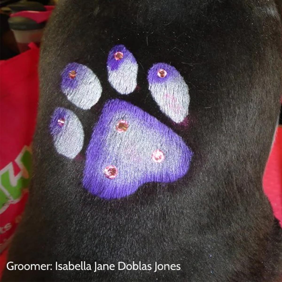 Opawz Pet Hair Chalk, Temporary Dog Hair Dye, Washable Pet Hair Dye, Pet Safe Dye For Creative Grooming (White)