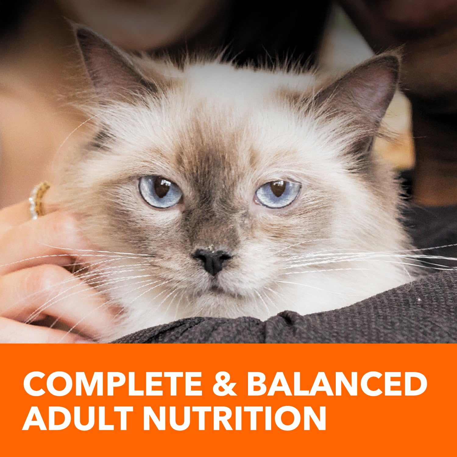 Iams Healthy Enjoyment Dry Cat Food Chicken & Beef Recipe, 6 lb. Bag