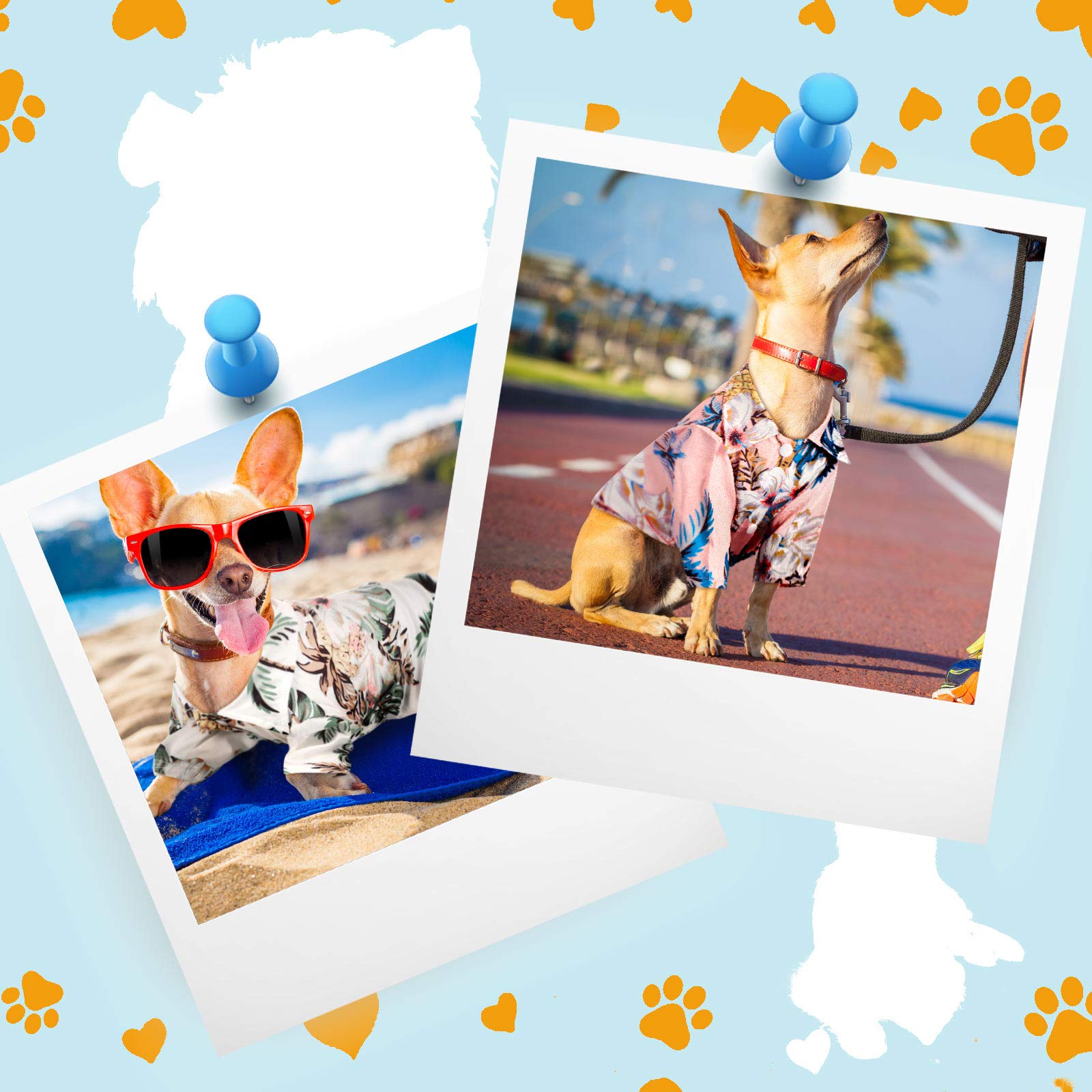 Weewooday 4 Pieces Pet Summer T-Shirts Hawaii Style Floral Pet Dog Shirt Breathable Cool Clothes Beach Seaside Puppy Sweatshirt For Small Puppy(Floral Style,Medium)