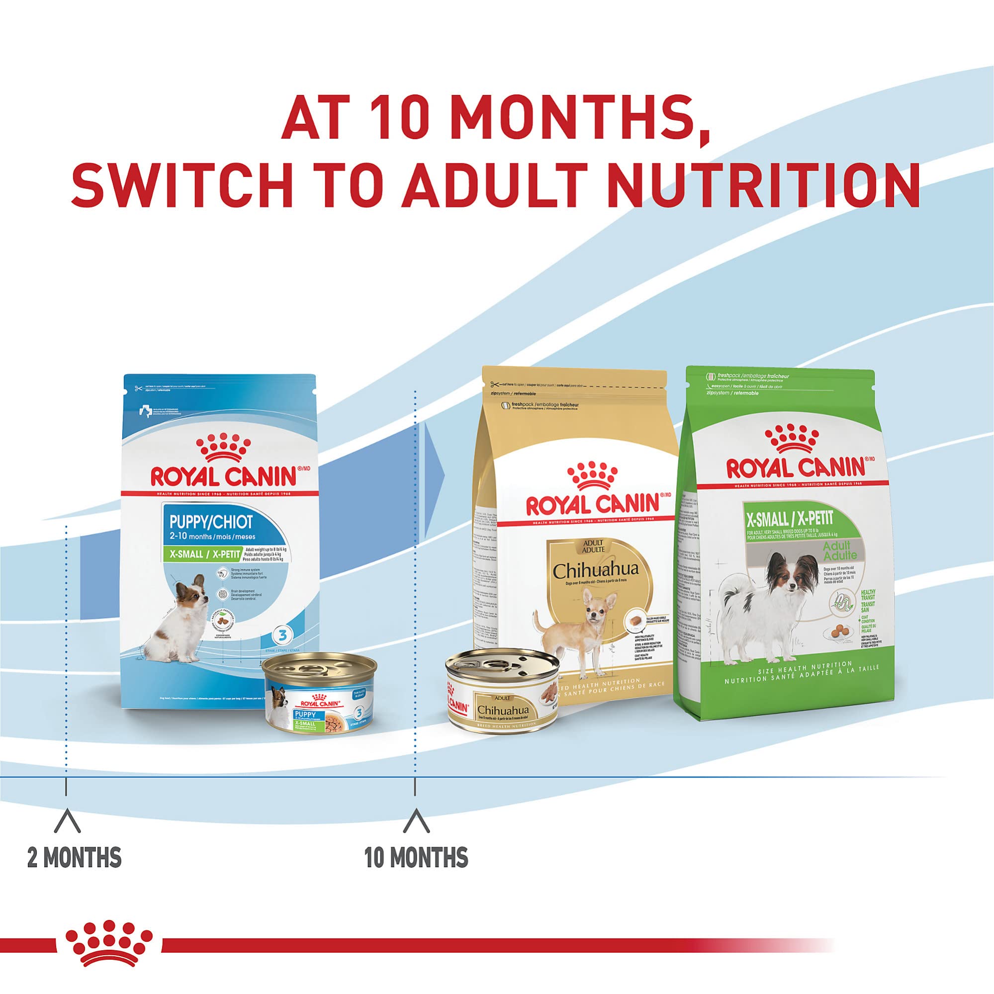 Royal Canin Size Health Nutrition X-Small Breed Dry Puppy Food, Supports Brain Development, Immune Support and Digestive Health,