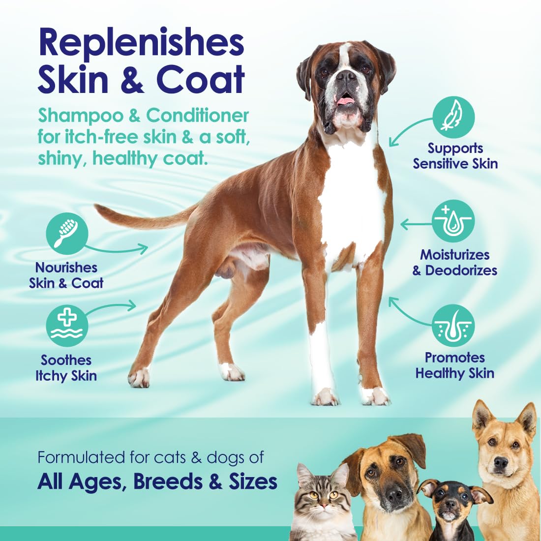 2-In-1 Dog Shampoo And Conditioner With Soothing Aloe Vera & Chamomile, Sensitive Skin, Fragrance-Free, Hypoallergenic Formula P