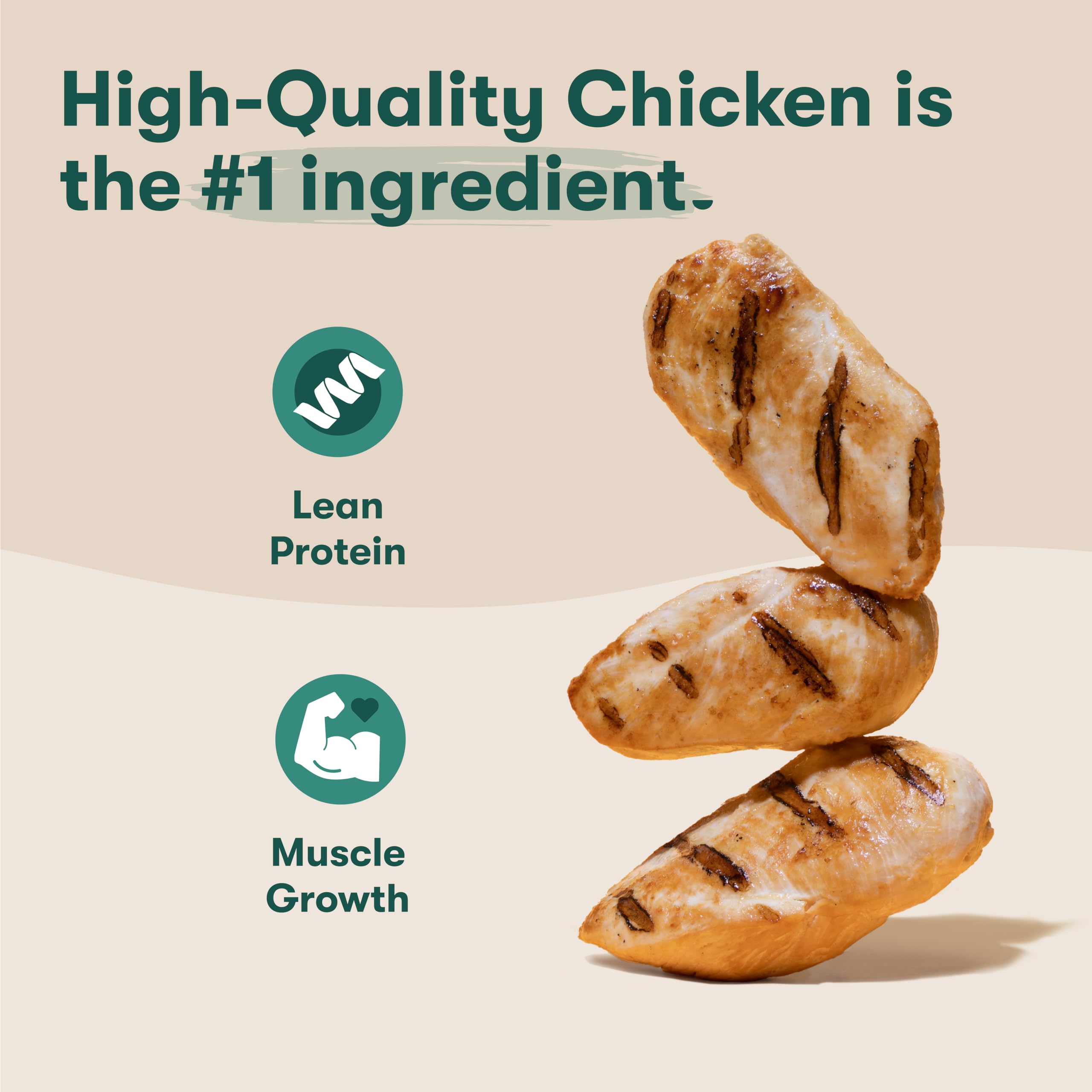 Jinx Oven-Baked Chicken Bone Broth Biscuit Dog Treats - Crunchy, All Natural, Superfood-Rich with Cage-Free Chicken, Dog Biscuit