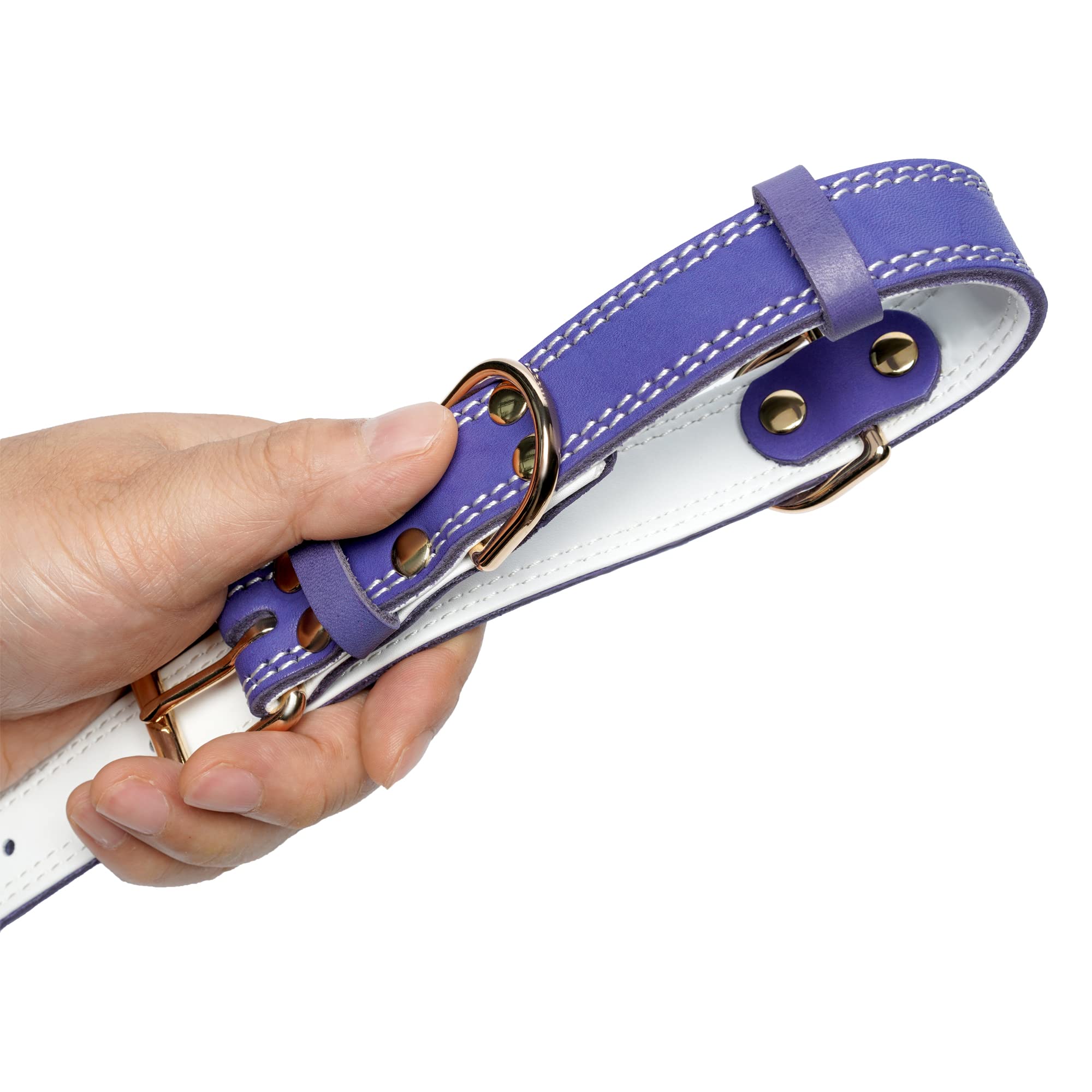 Daihaqiko Genuine Leather Dog Collar, Heavy Duty, Wide For Small To Extra Large Dogs (M: 1'' Wide For 15.2''-19.2'' Neck, Dual S