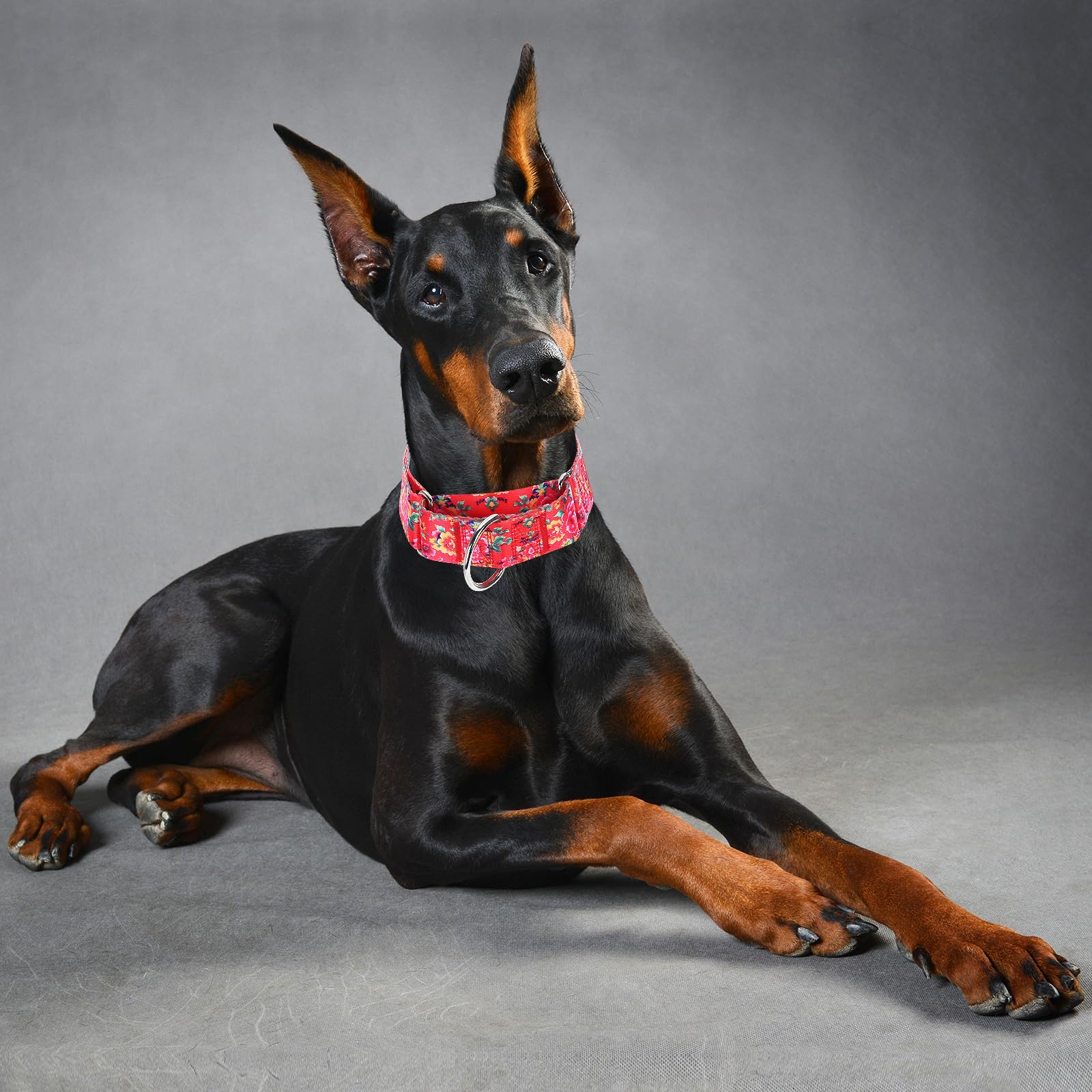 Martingale Dog Collar 1.5    Width - Heavy Duty Adjustable Training Collar With Stylish Red Floral Design - Secure Fit For Large