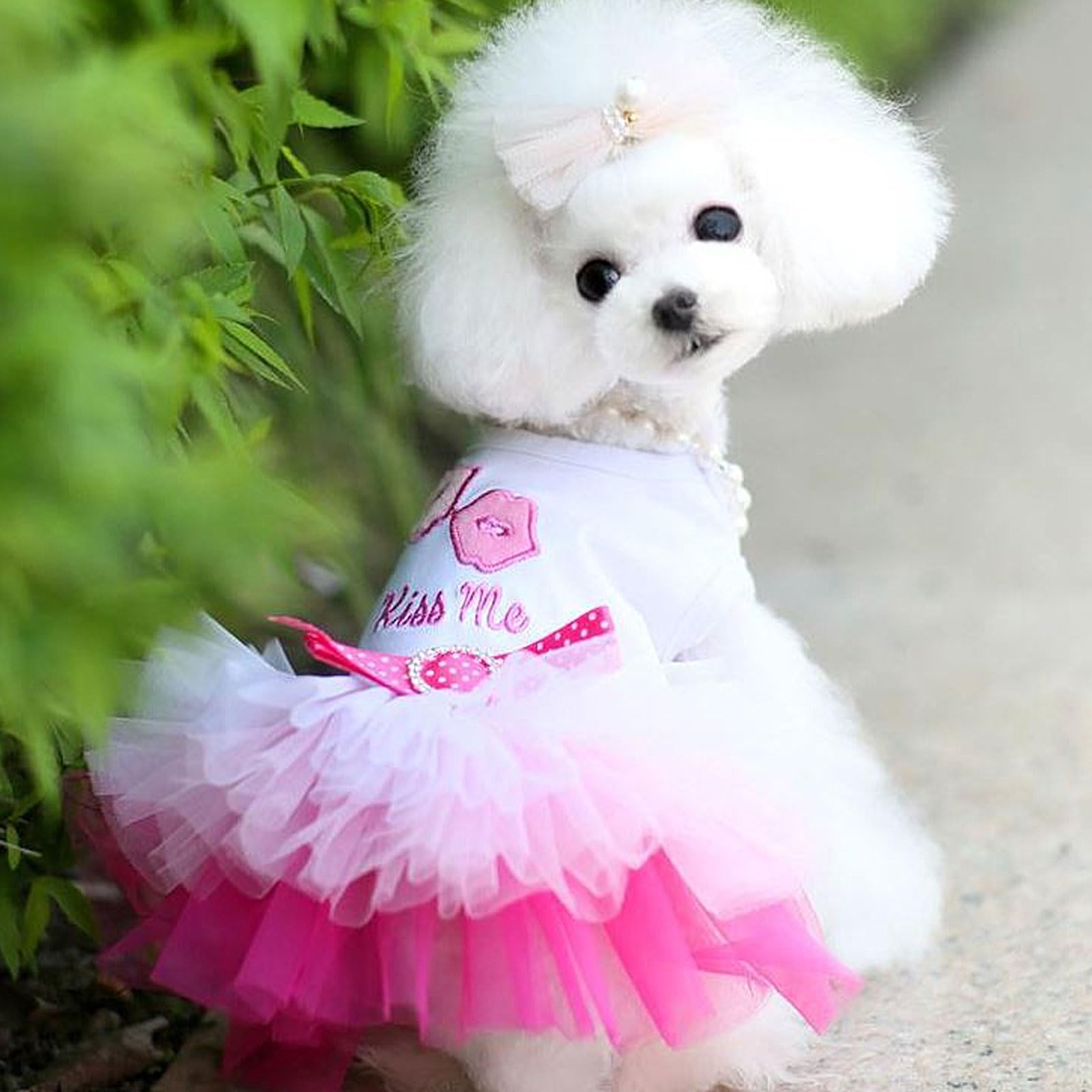 2 Pack Dog Dresses For Small Dogs Girls Cute Princess Puppy Dresses With Rhinestones Tutu Pet Dress Outfit Female Dog Clothes Ch