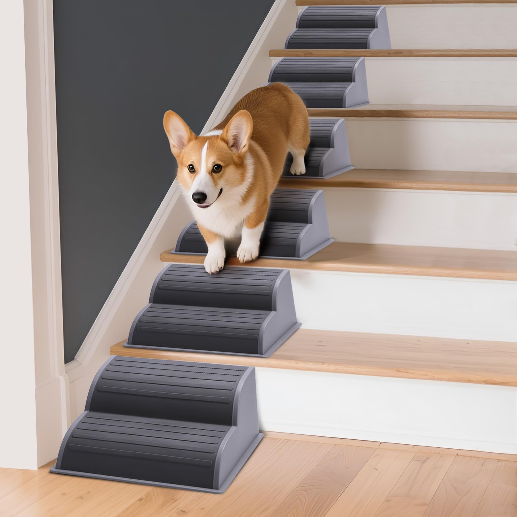 CiWiVOKi 2-Step Modular Dog Ramp - Portable Non-Slip Stairs for Small Dogs with High Support, 9.5 D Lightweight Plastic Pet Step