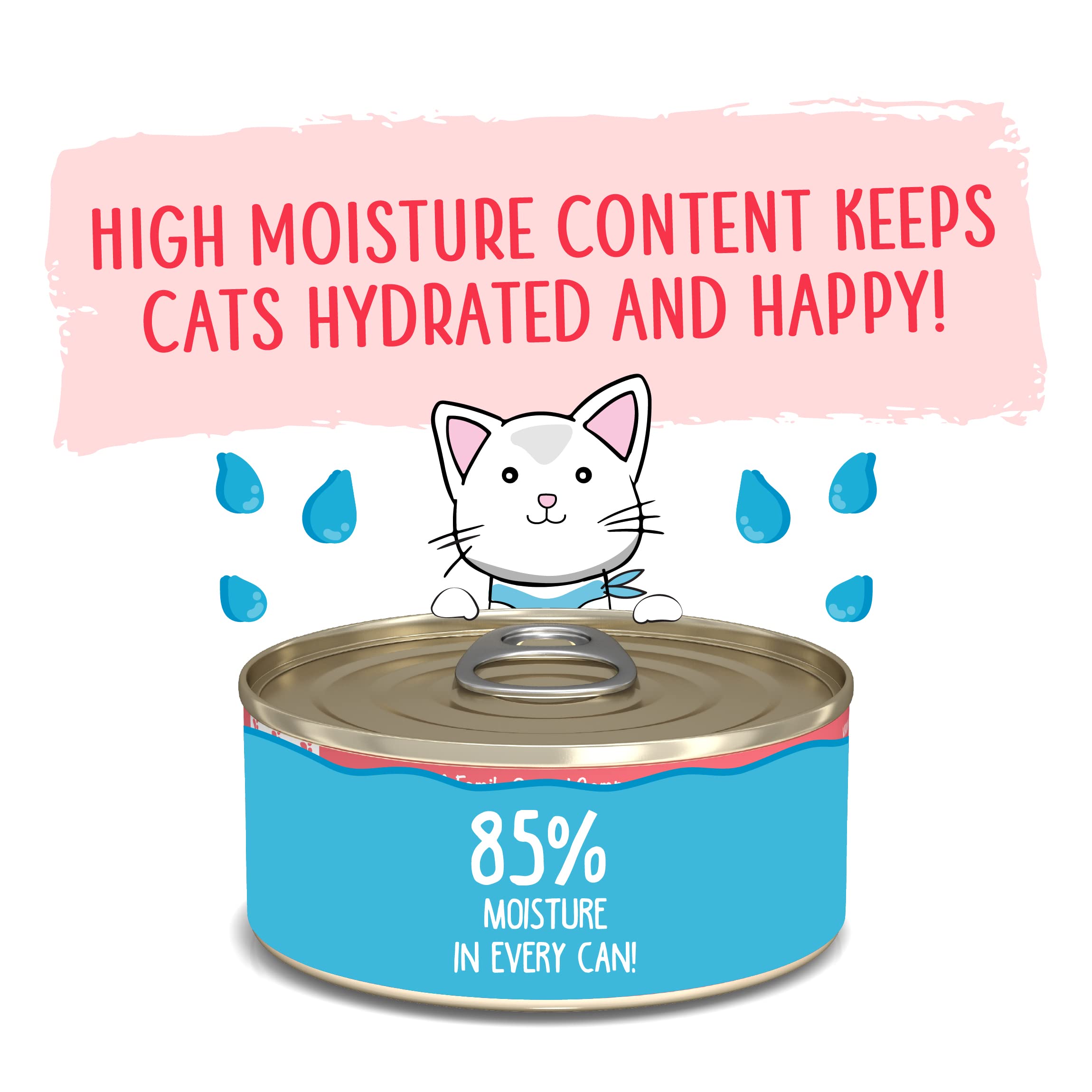 Weruva Wet Cat Food, Jolly Good Fares with Chicken and Salmon Pate, 5.5oz Can, Pack of 8