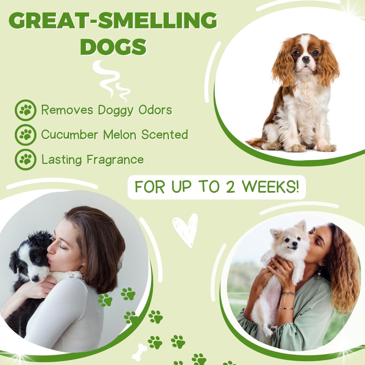 Alpha Dog Series Bright White Natural Whitening Dog Shampoo And Conditioner For Dogs With Aloe Vera, Ph Balanced Dog Shampoo And Conditioner Set, Tear-Free For Sensitive Skin 26.4 Oz (Pack Of 2)