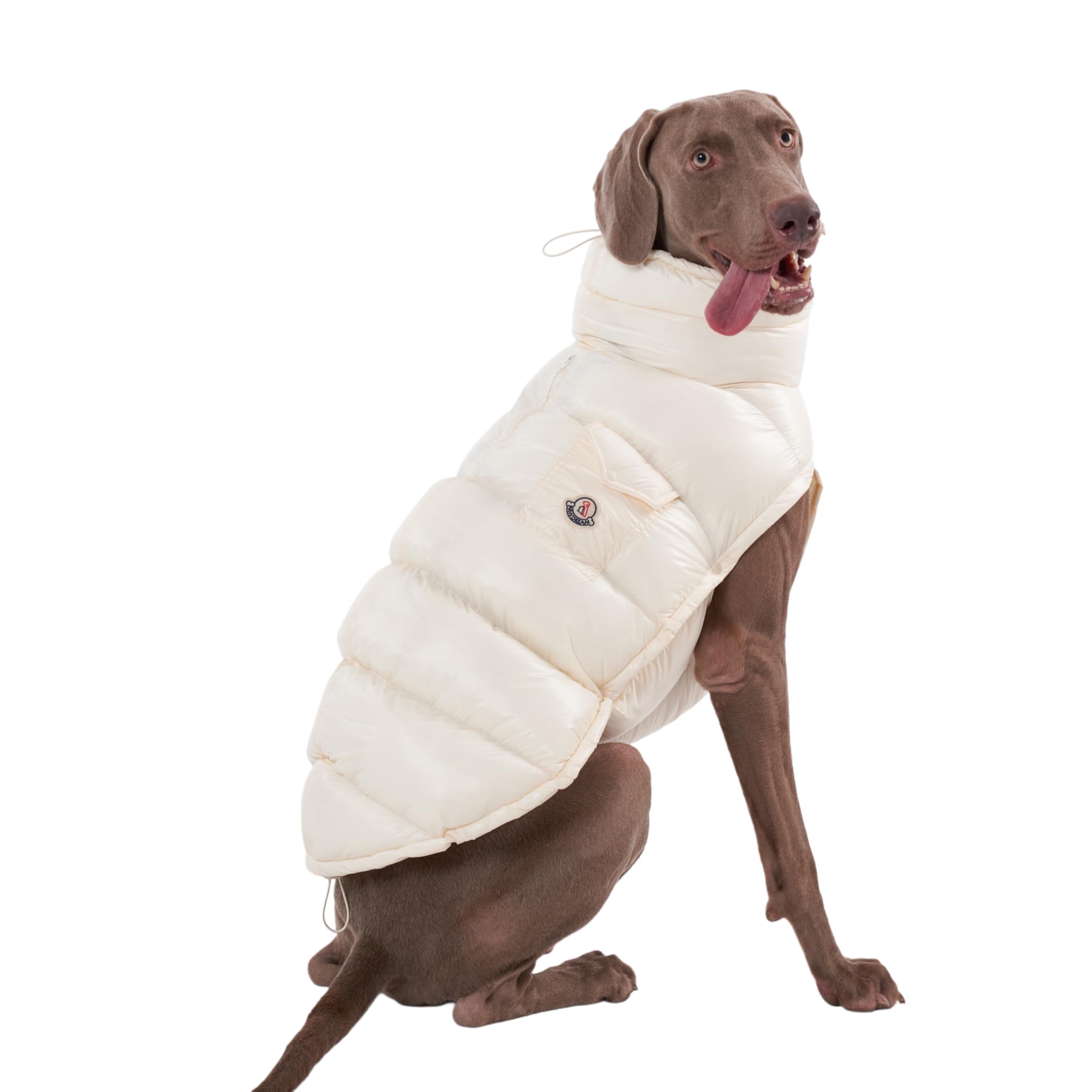 Chochocho Winter Dog Jacket, Cold Weather Coats, Lightweight, Thermal Insulated, Water-Resistant, Adjustable Dog Jackets With Le