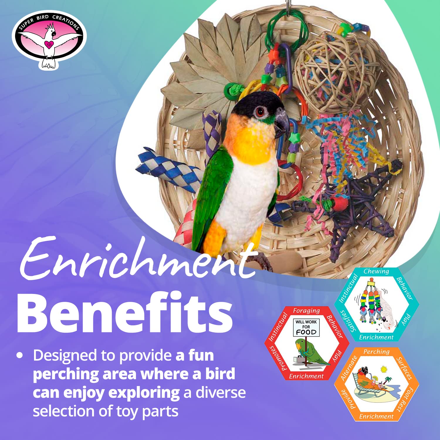 Super Bird Creations Sb543 Busy Birdie Play Perch - Foraging Bird Toy, Small & Medium Bird Size - Parakeets, Cockatiels, Small Conures - Interactive Elements - Stimulating Playtime - 9.5' X 9.5' X 6'