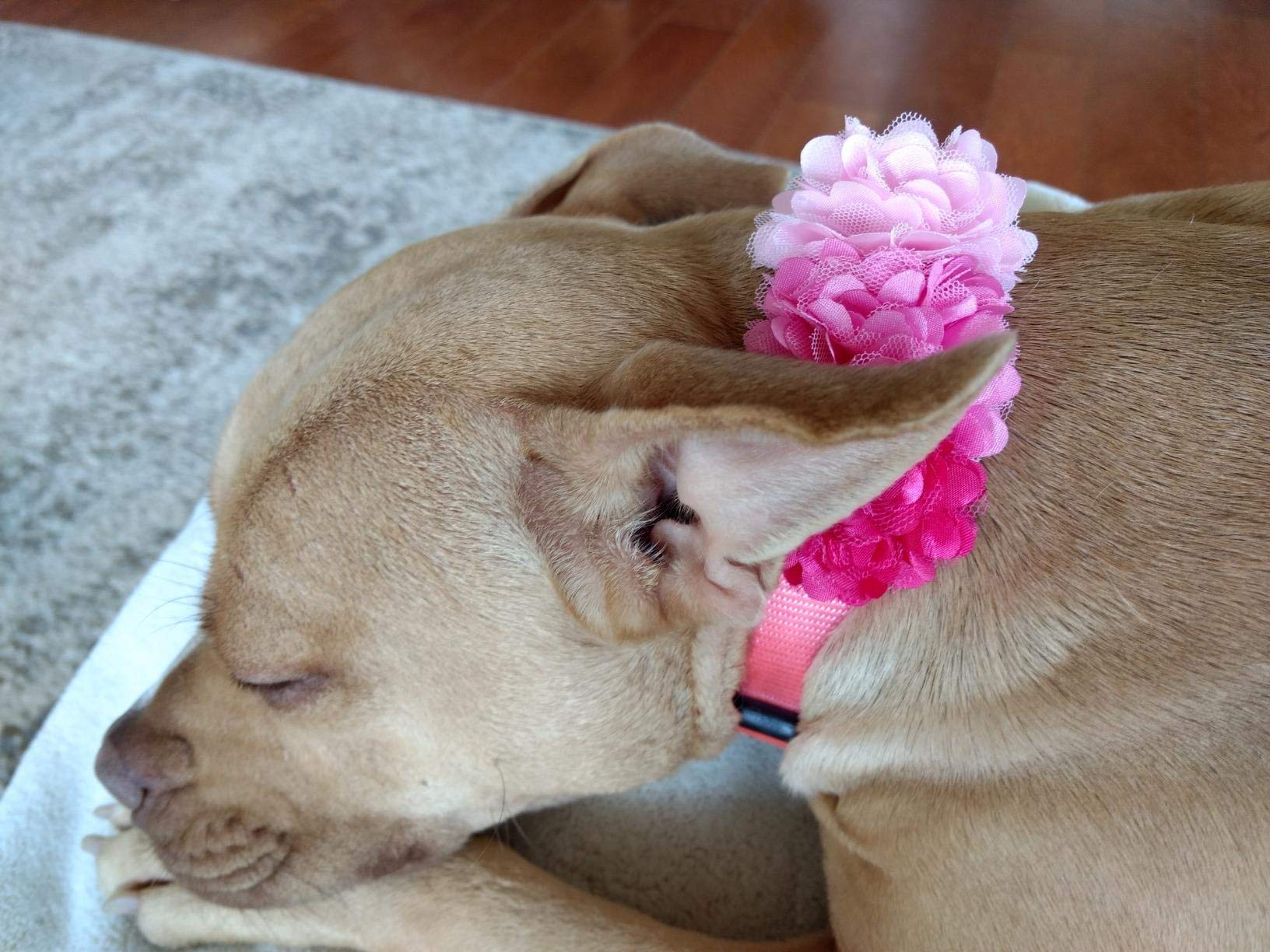 Pet Show 2' Valentines Small Dogs Flower Collar Accessories For Cat Puppies Rabbit Pigs Collars Bows Grooming Supplies Red Rose Hotpink Pink For Girls Pack Of 4