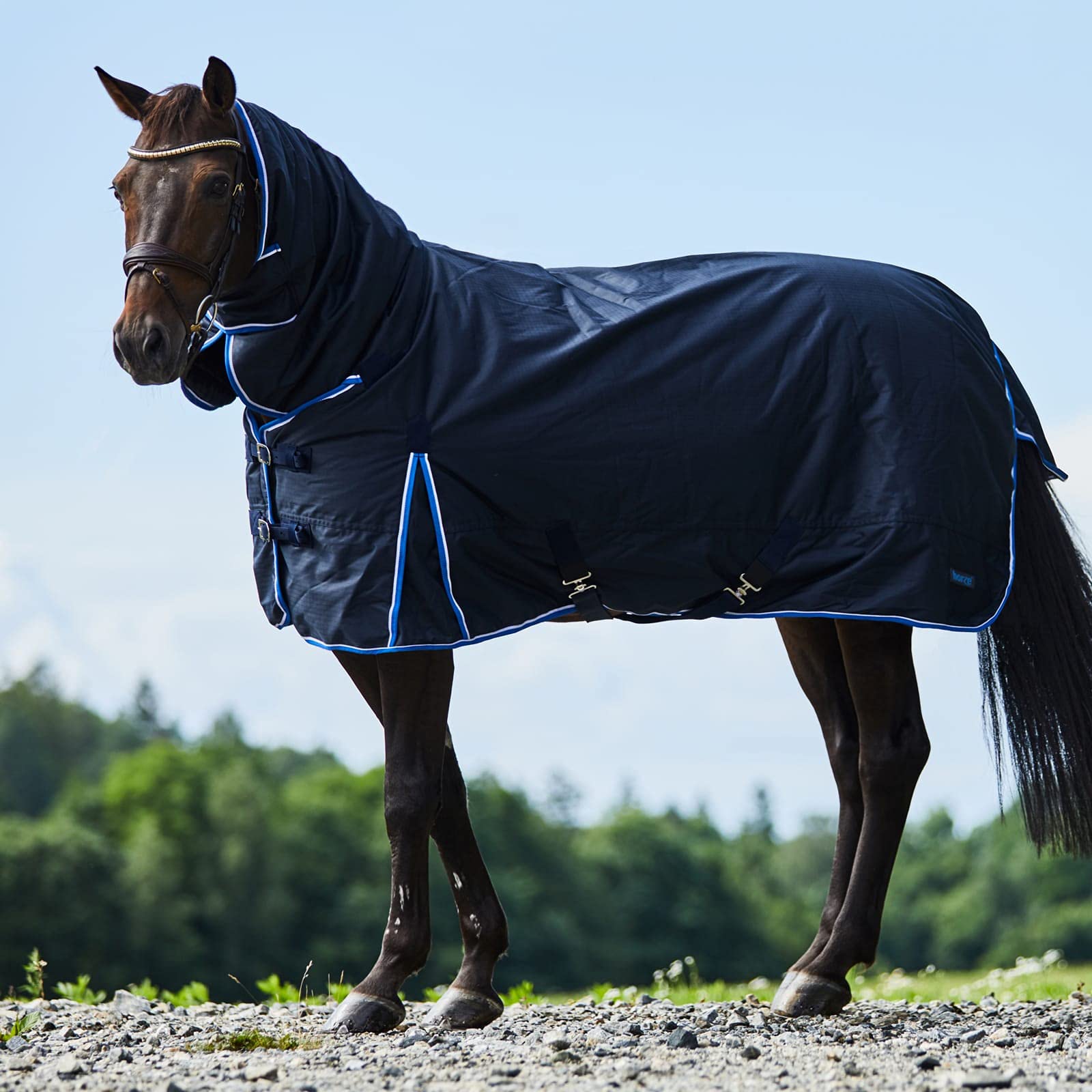 Horze Glasgow Light Weight Waterproof Combo Turnout Sheet With Neck Cover (No Fill) - Dark Blue - 81 In