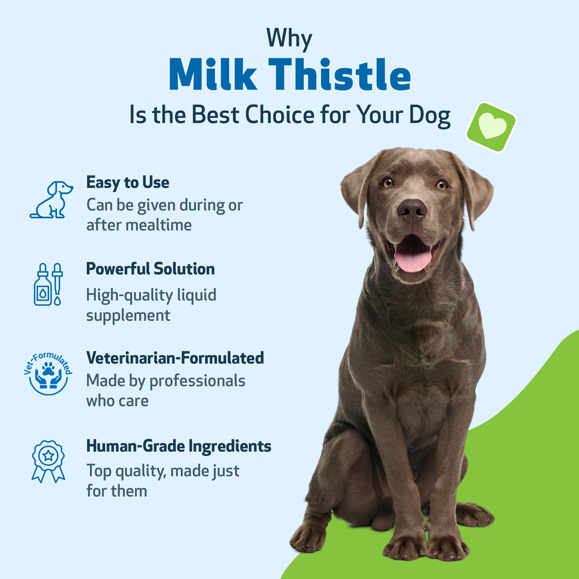 Pet Wellbeing Milk Thistle for Dogs - Organic, Supports Liver Health, Healthy Detoxification, Antioxidants, Liver Cell Support,