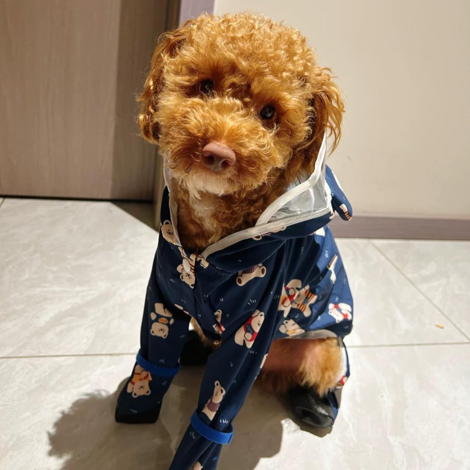 Harikaji Small Dog Raincoat, Tail Protect Feet Cover Waterproof Dog Rain Jacket Dog Rain Coat For Puppy Small Dogs (Navy Bear,L)