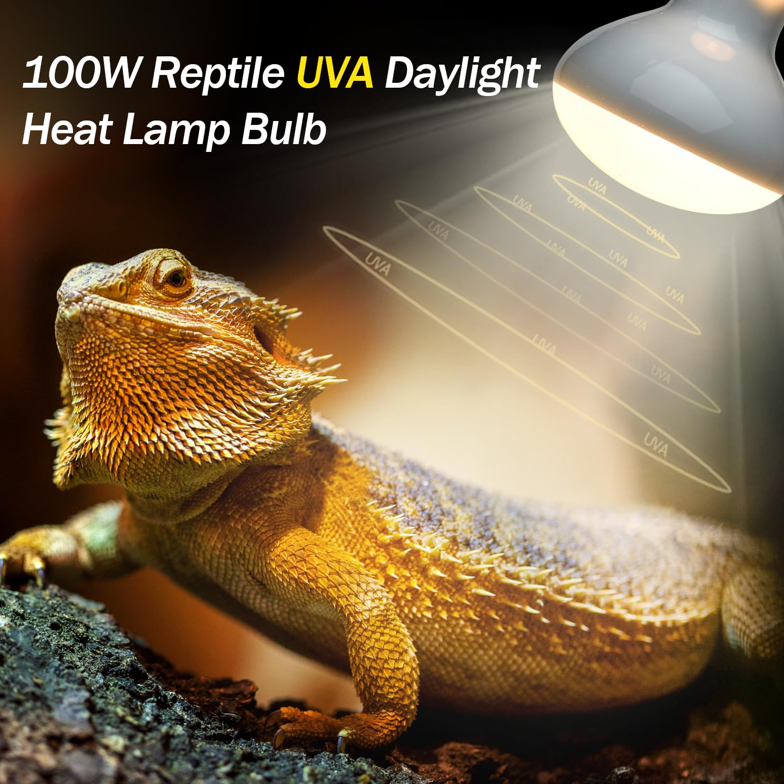 BOEESPAT 100W Daylight Basking Light Bulb & Infrared Heat Lamp Bulb for Amphibians Reptiles Bearded Dragon, Turtle, Lizard, Snak