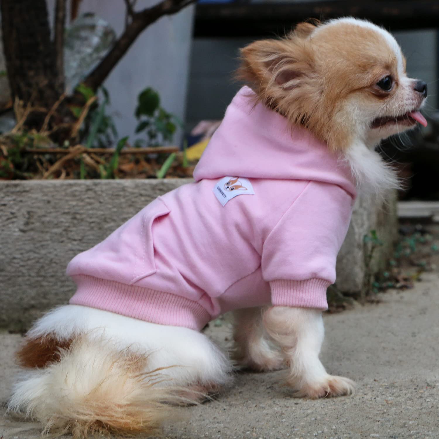 Lophipets Dog Cotton Hoodies Sweatshirts For Small Dogs Chihuahua Puppy Clothes Cold Weather Coat-Pink/S