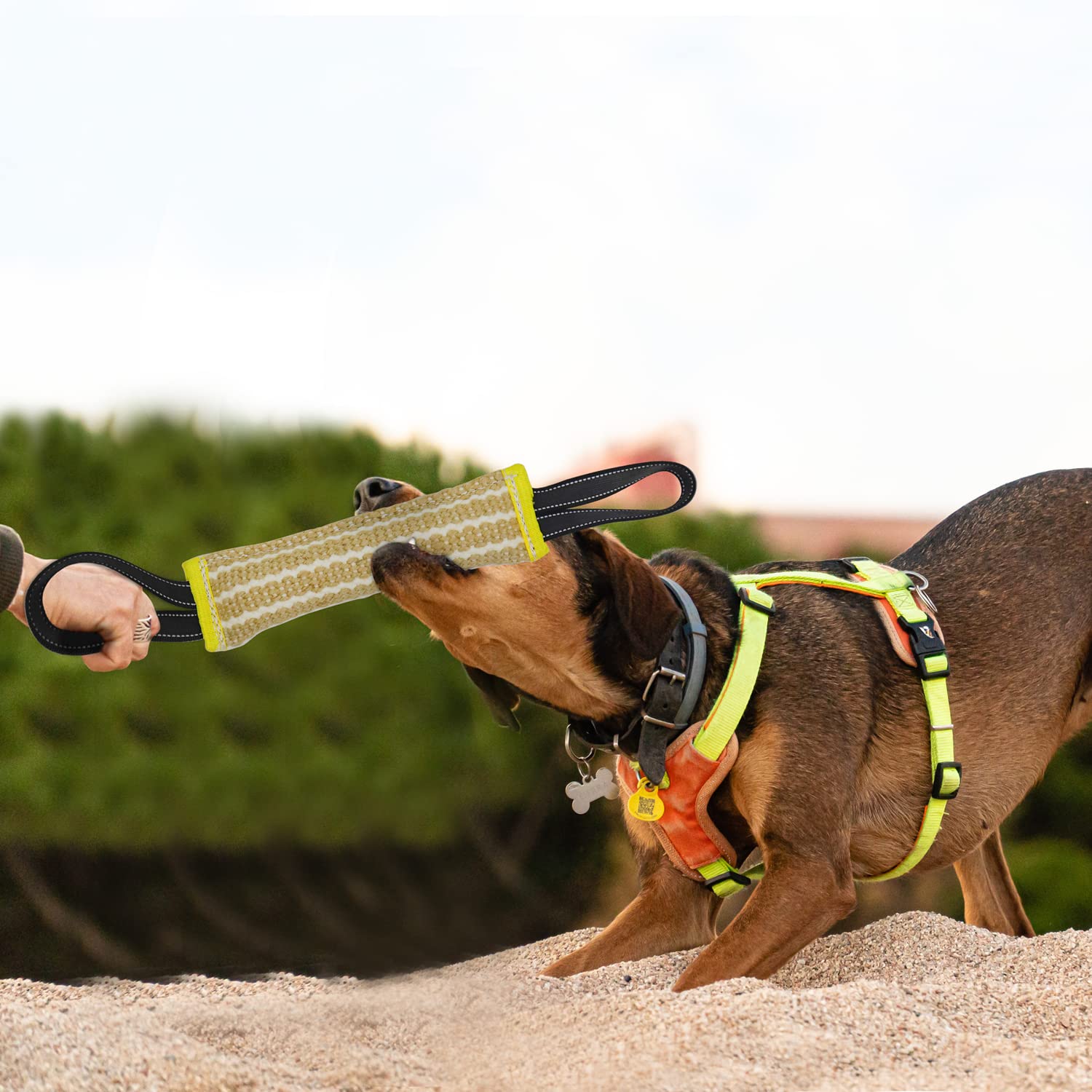 DGSL Dog Bite Training Set - Dog Bite Sleeve, Dog Bite Pillow Tug Toy, Dog Training Stick - Professional Training Equipment for