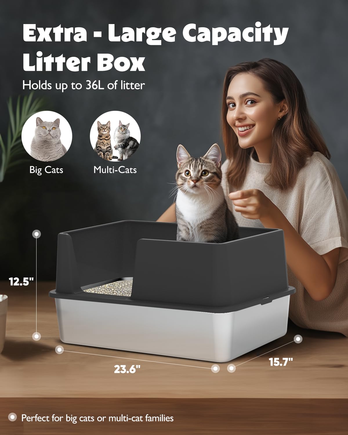 Stainless Steel Cat Litter Box With Lid, Large Metal Litter Box For Big & Multiple Kittens With High Sides, Cat Box With Litter