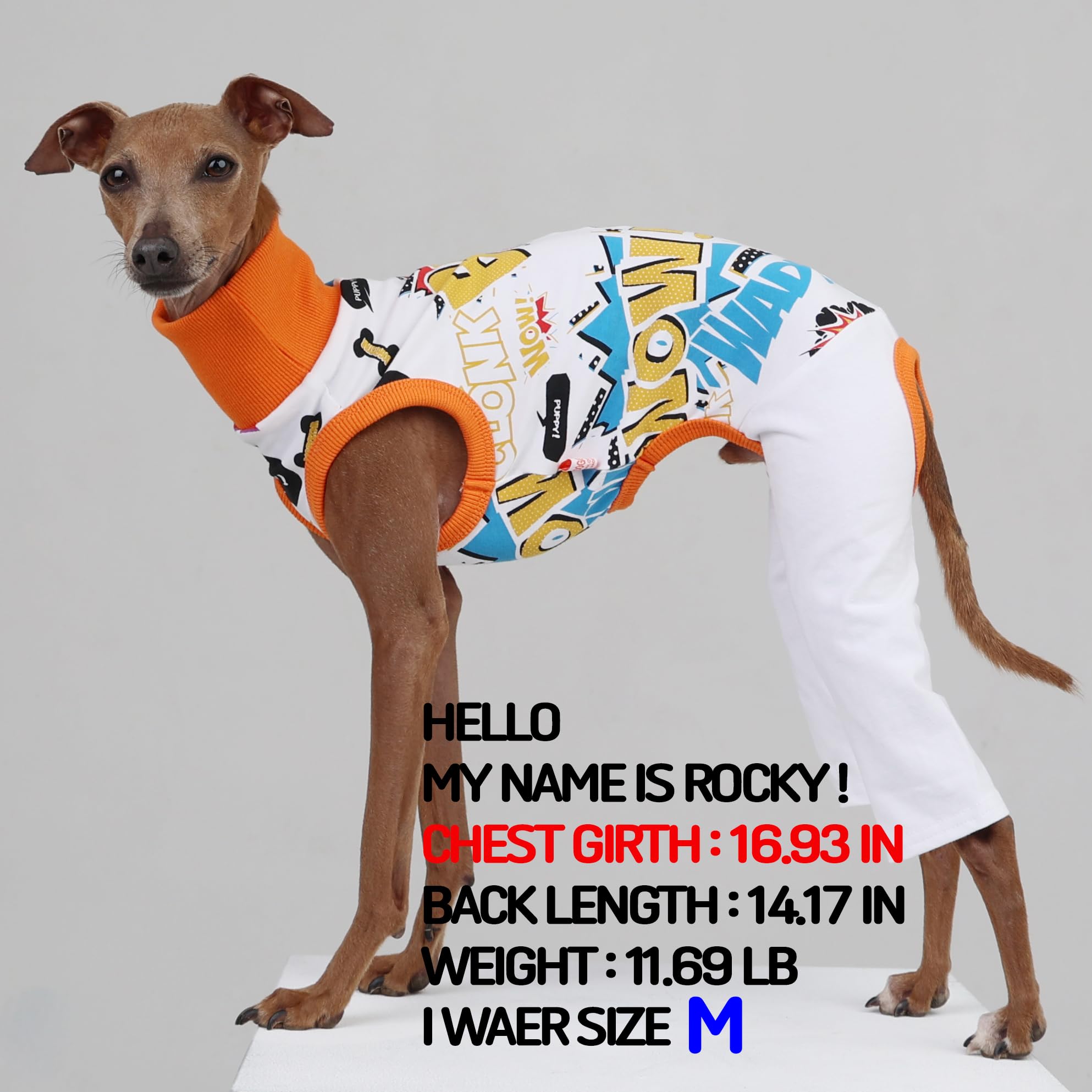 D DOGGY STAR Italian Greyhound Clothes Stretchable Bow Sleeveless Onesie Whippet for Dog (L,Onesie Bow White)