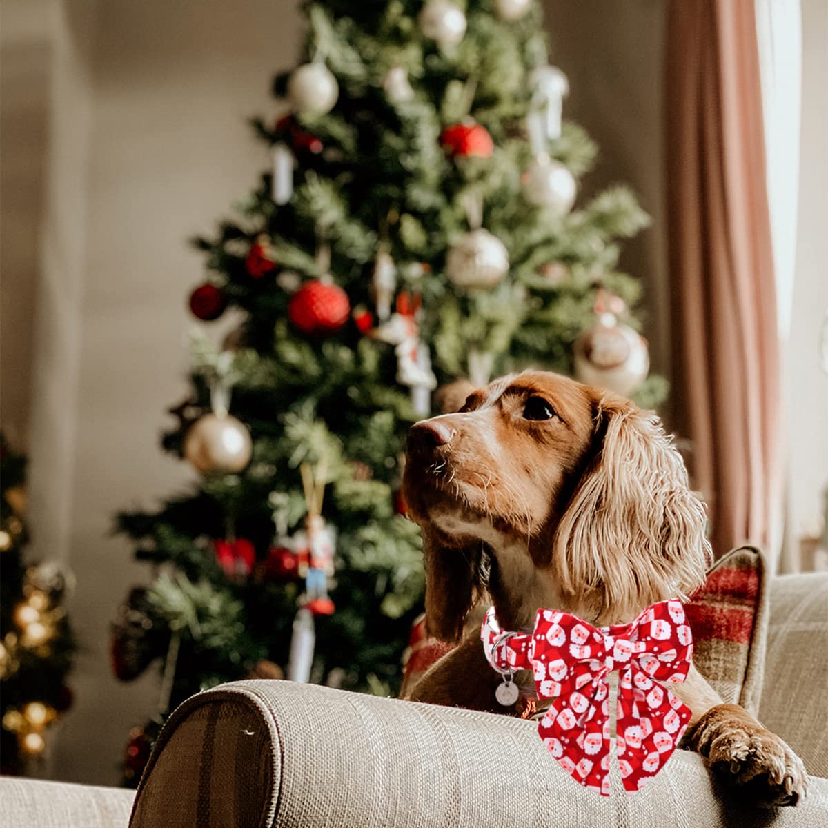 Dogwong Christmas Dog Collar With Sailor Bow, Red Santa Claus Dog Collar Soft Durable Adjustable Cotton Puppy Collar For Small M