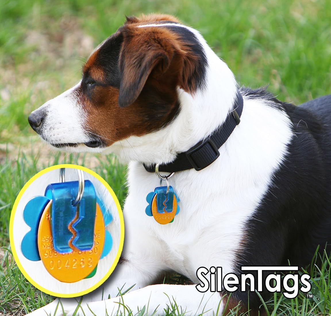 Silentags Pet Tag Silencer With Tag Ring Included