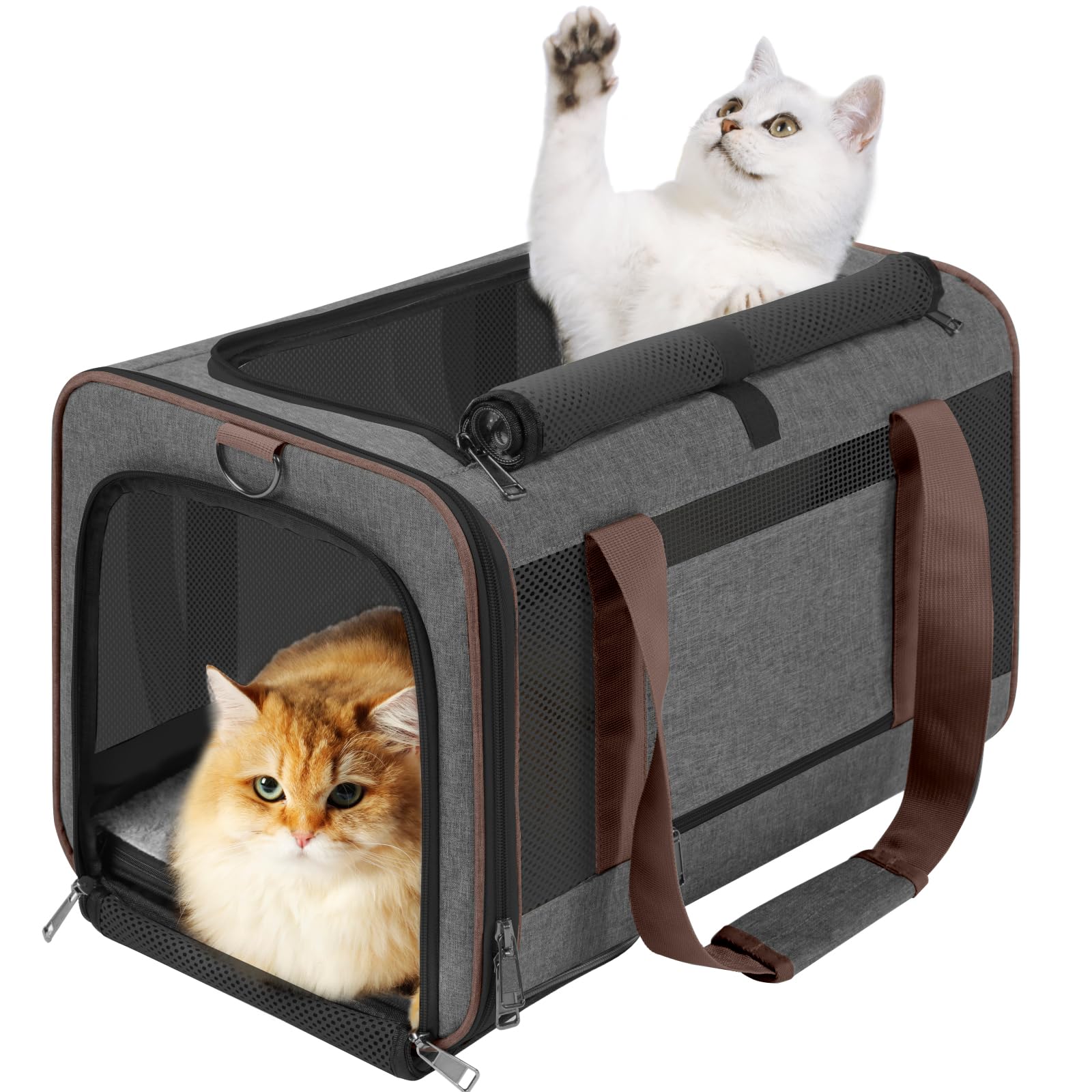 Gapzer Small Dog Carrier Cage Soft Chihuahua/Softshell Big Cat Carrier Maine Coon/Pet Taxi Carrying Bag Over 25Lbs / Top Loader 