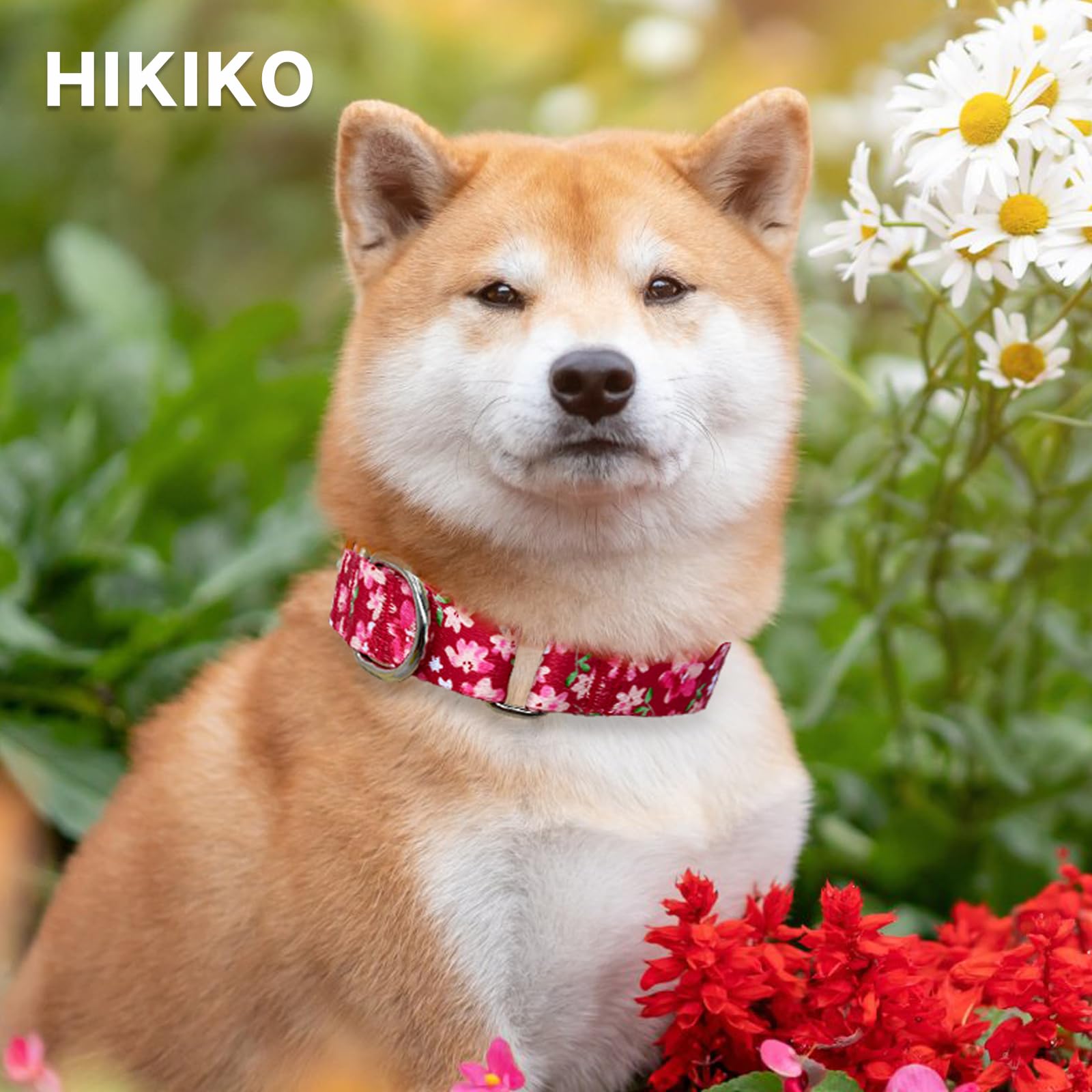 Hikiko Martingale Collar For Female Dogs - Floral Design, No Buckle, Nylon, No Pull, Medium, Japanese Pink