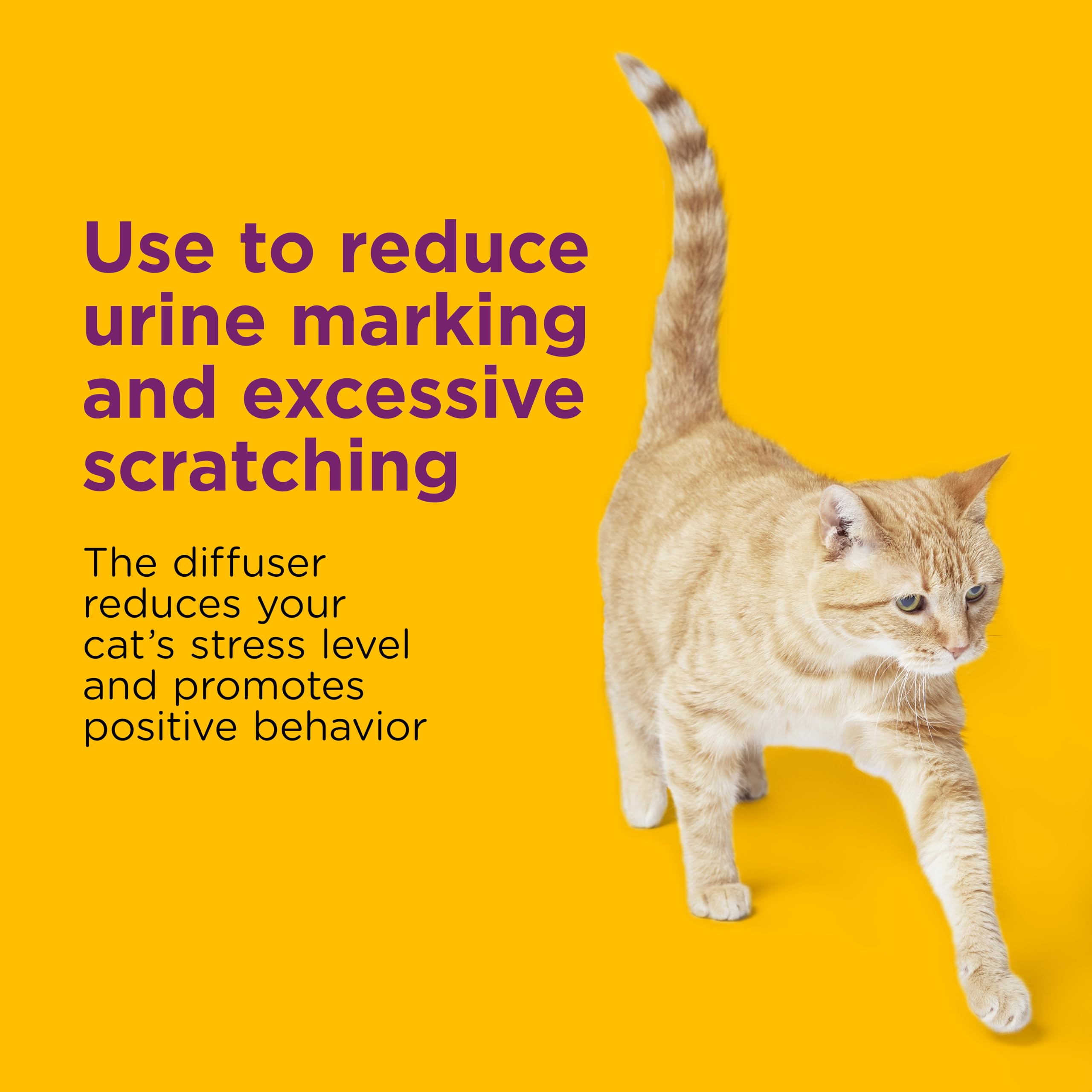 Comfort Zone Multi Cat Calming Diffuser Refills: 1-Pack